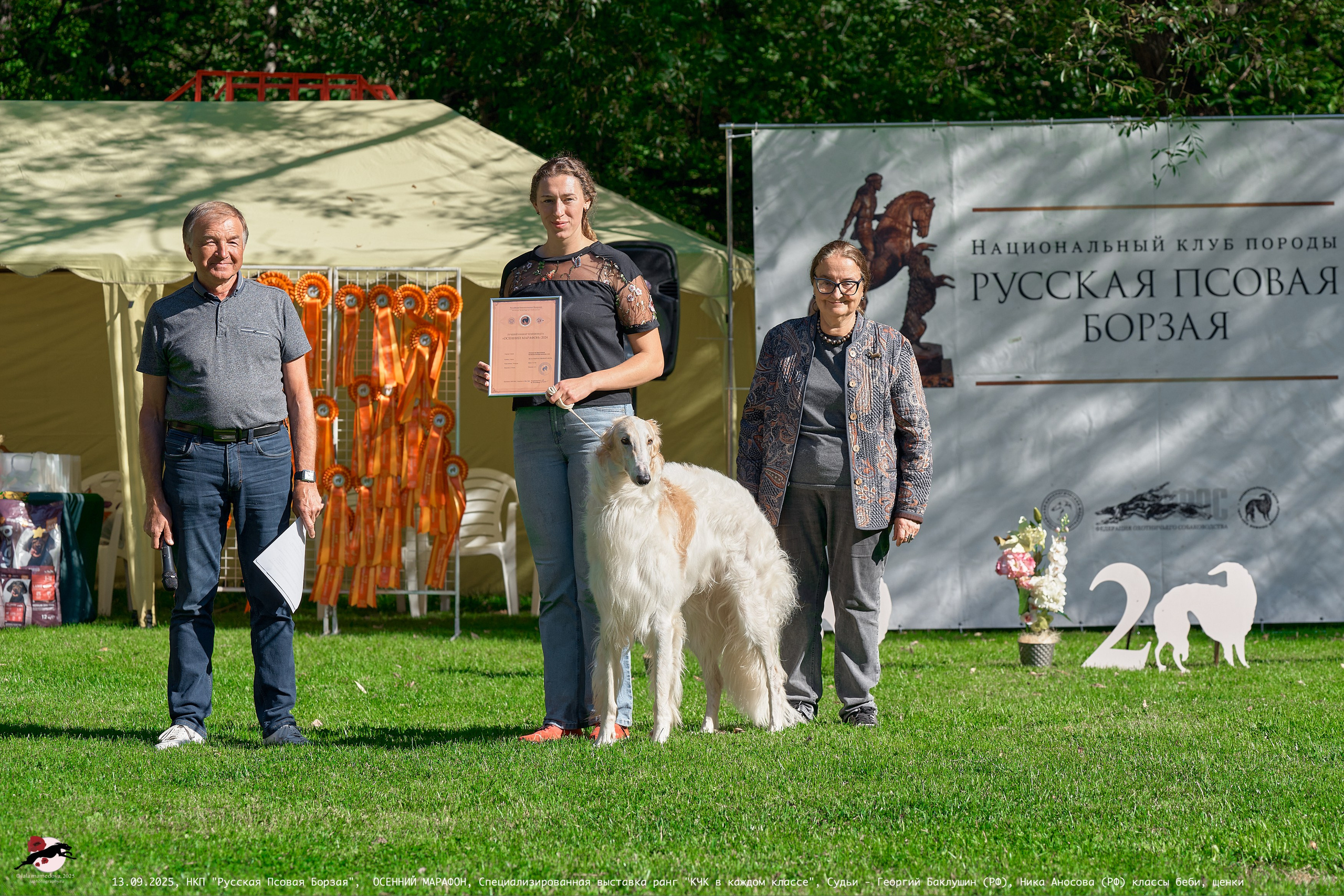 ОСЕННИЙ МАРАФОН | Специализированная выставка породы Русская Псовая Борзая ранг "КЧК в каждом классе"