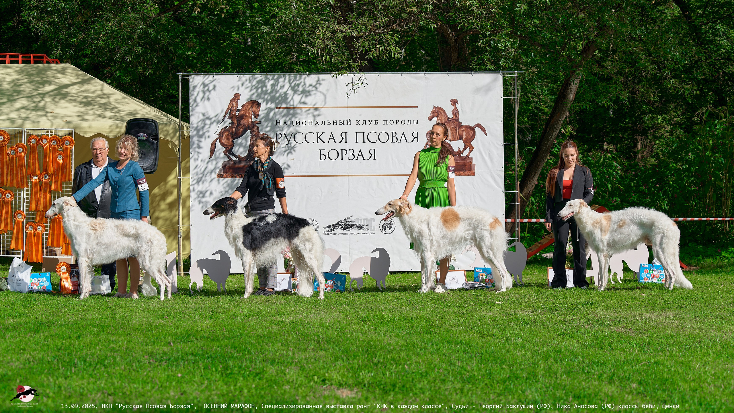 ОСЕННИЙ МАРАФОН | Специализированная выставка породы Русская Псовая Борзая ранг "КЧК в каждом классе"