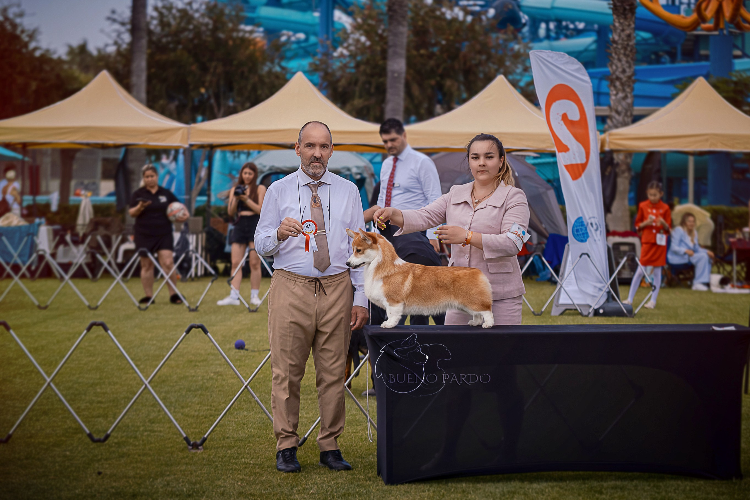 Собаки питомника Bueno Pardo. Питомник собак Акита, Хаски, Корги