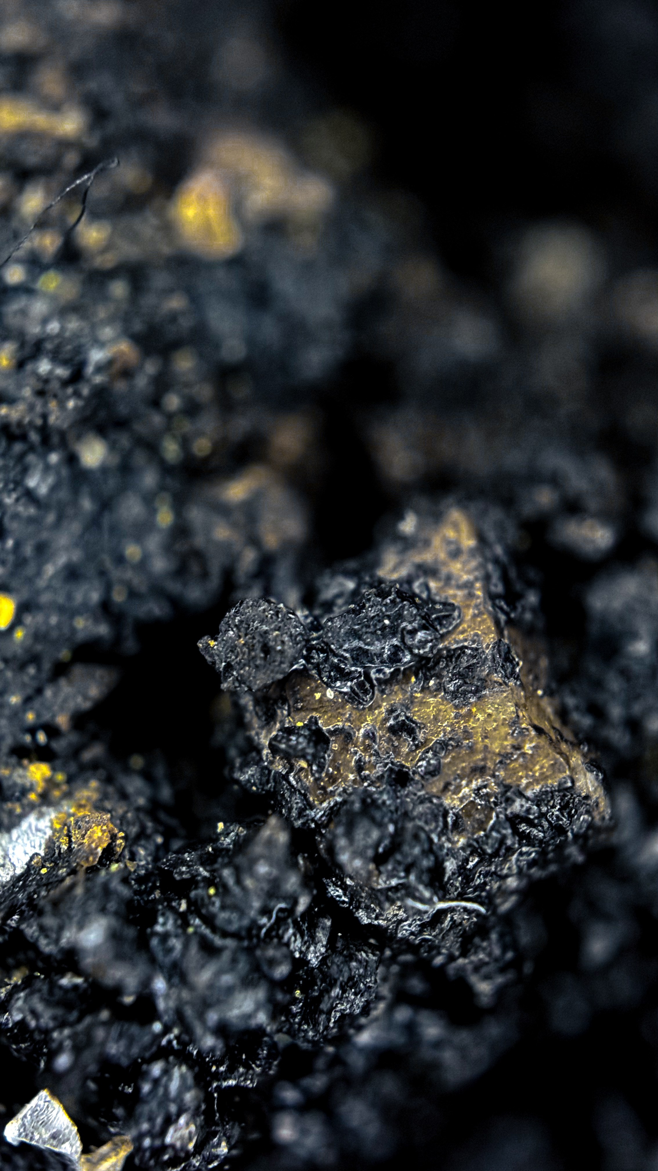 Что такое абстрактная фотография?. Sandra Marselly | Абстрактная Макро-Фотография