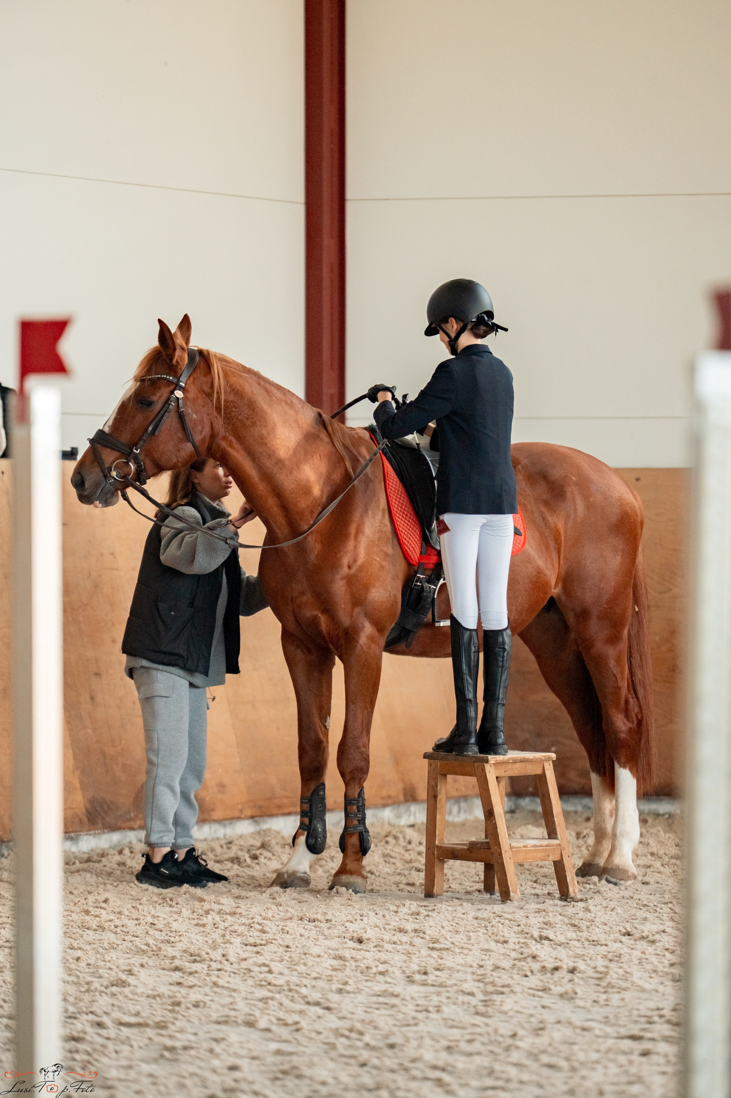 Эквипарк 6 этап Кубка Клубов. Конный и фотограф с животными в Твери Топталова Люся