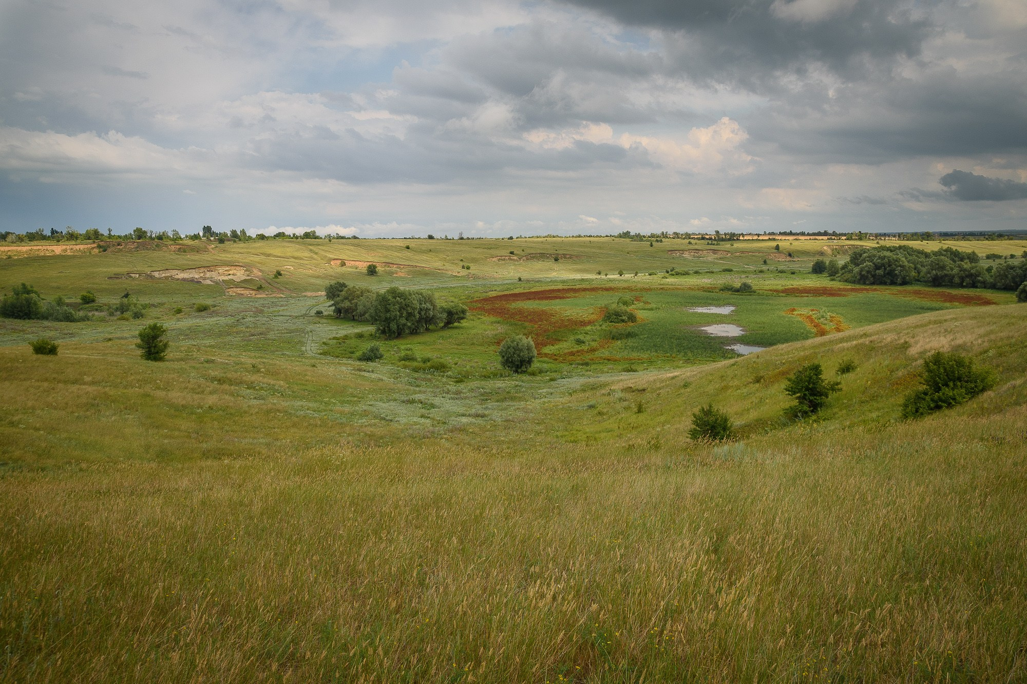 Обмелевшее озеро Ильмень