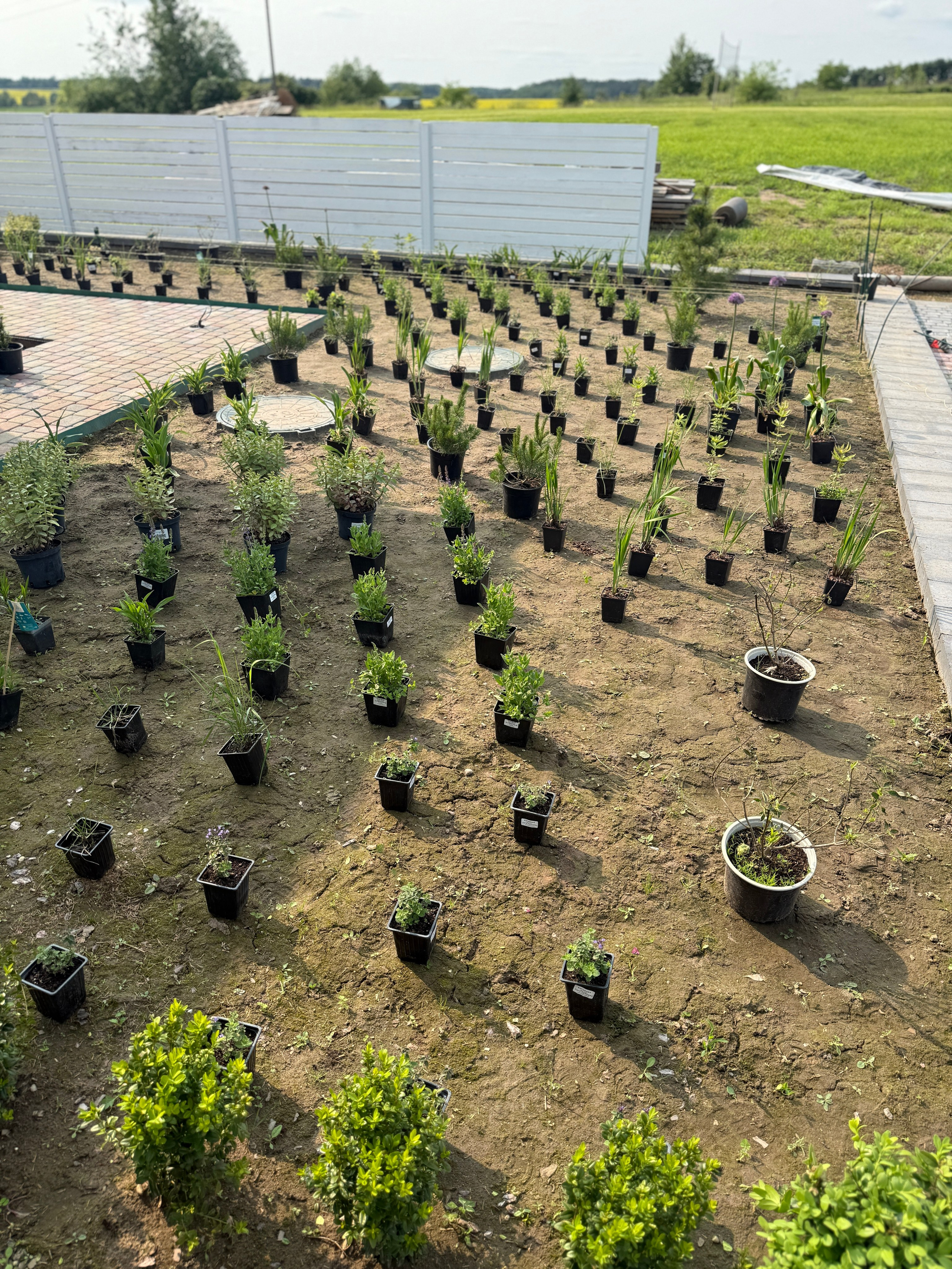 Создание цветника. LA. Ландшафтный дизайн в Минске и Гродно