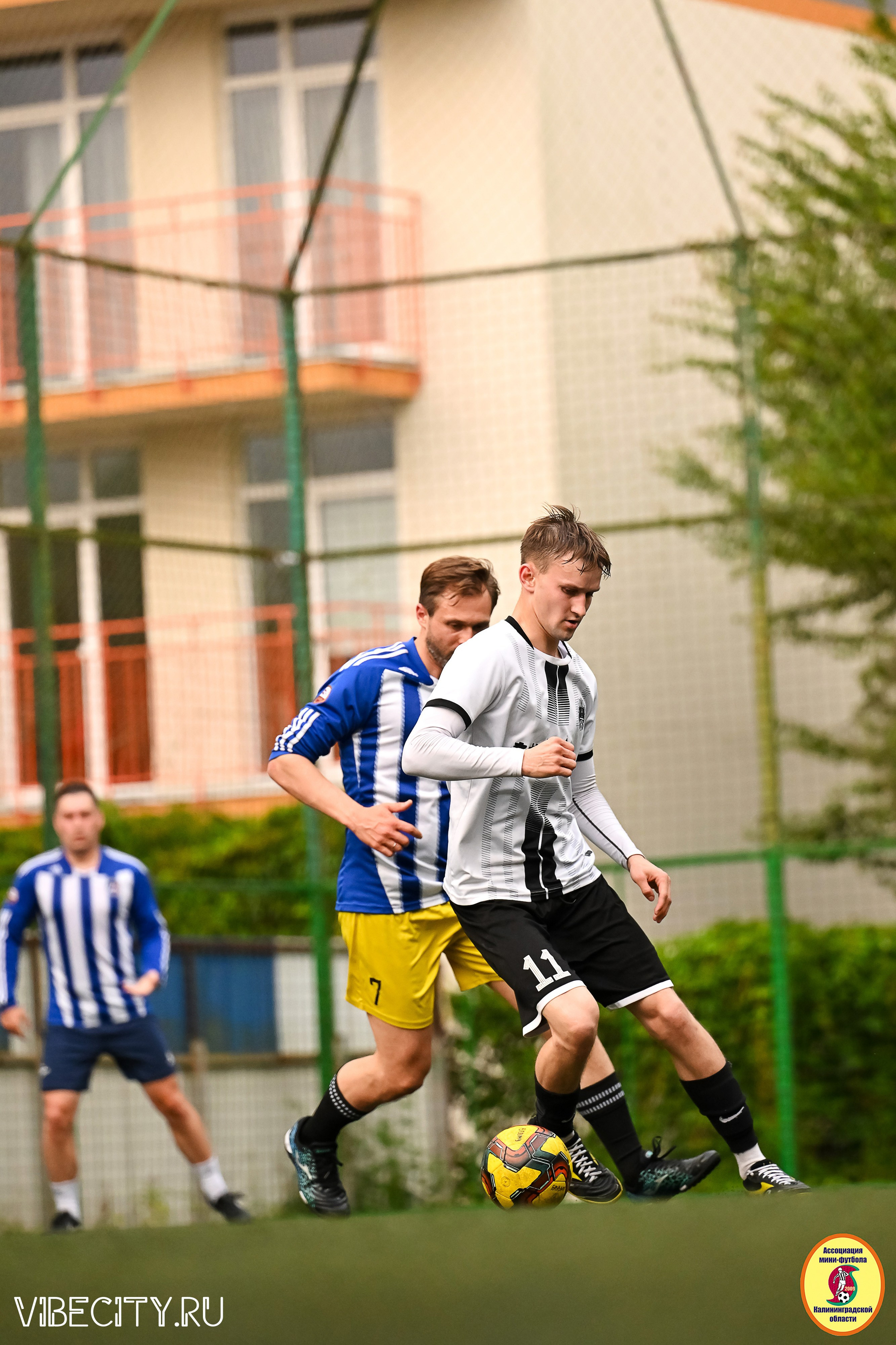 ИГРЫ МИНИ-ФУТБОЛЬНОЙ И КОРПОРАТИВНОЙ ЛИГИ. VIBECITY.RU Вайб Сити Ру Фоторепортажи Фотоотчеты Калининград