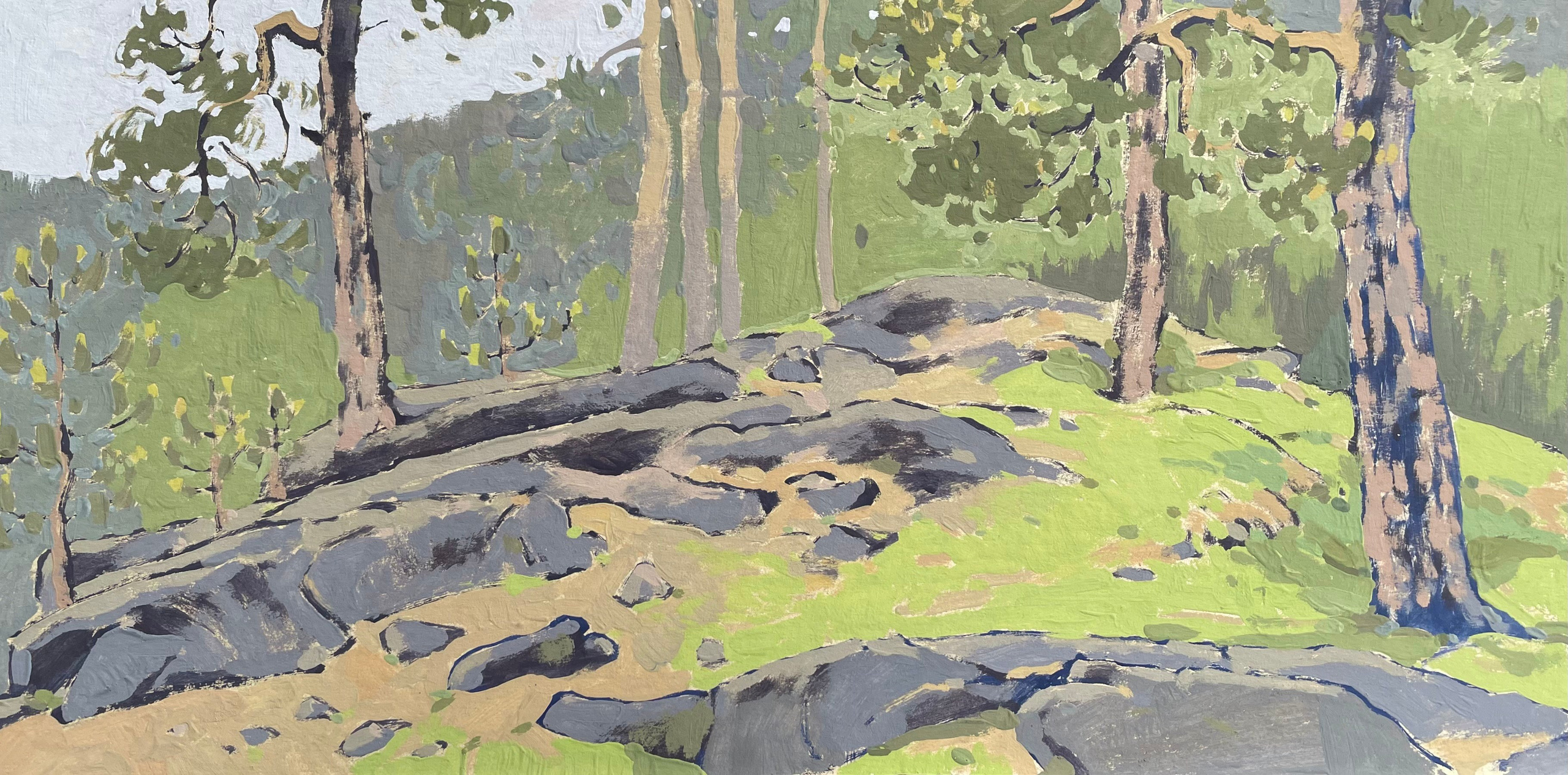 Художница Лиза Владимирова