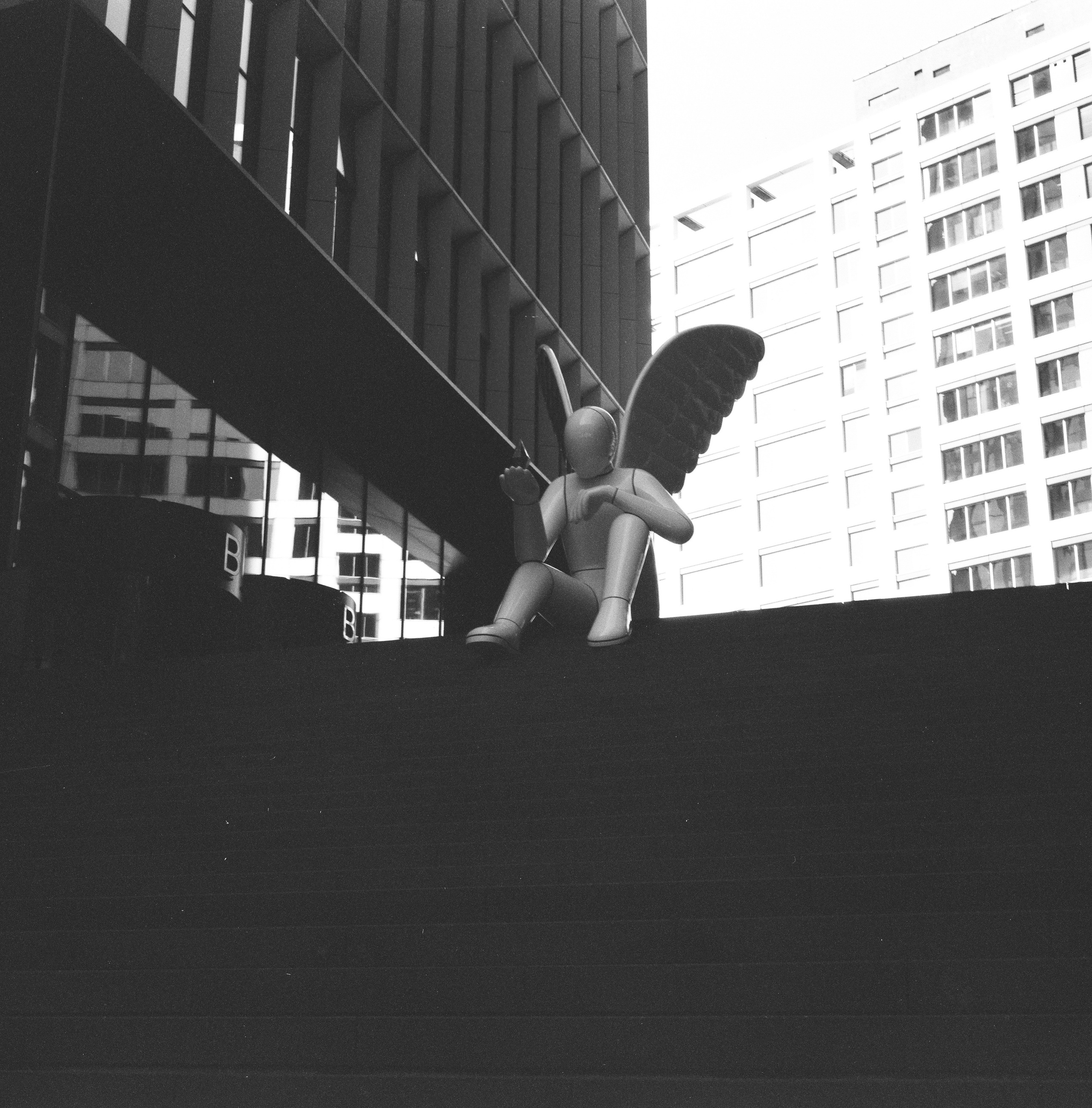 Плёночная фотография на средний формат 120 | Москва