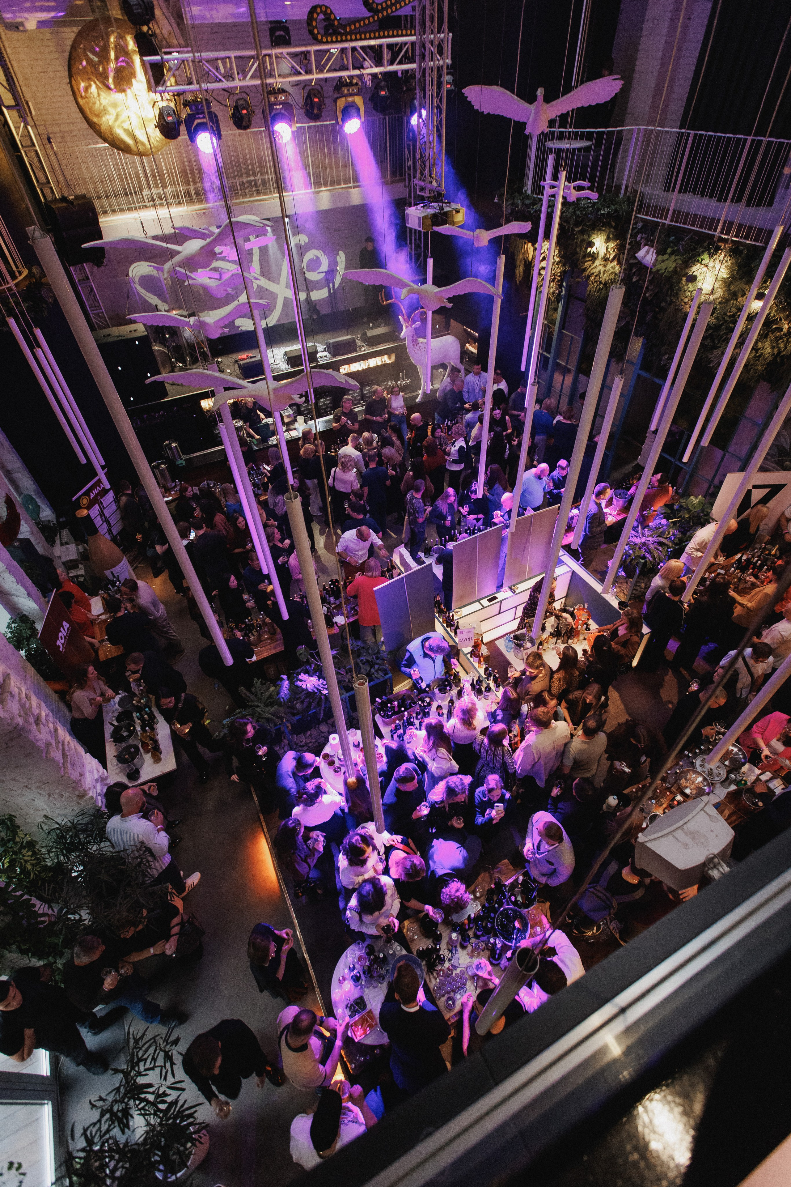 ВИННЫЙ ФЕСТИВАЛЬ. СВОИ. ФОТООТЧЕТЫ-СОБЫТИЯ-МЕСТА