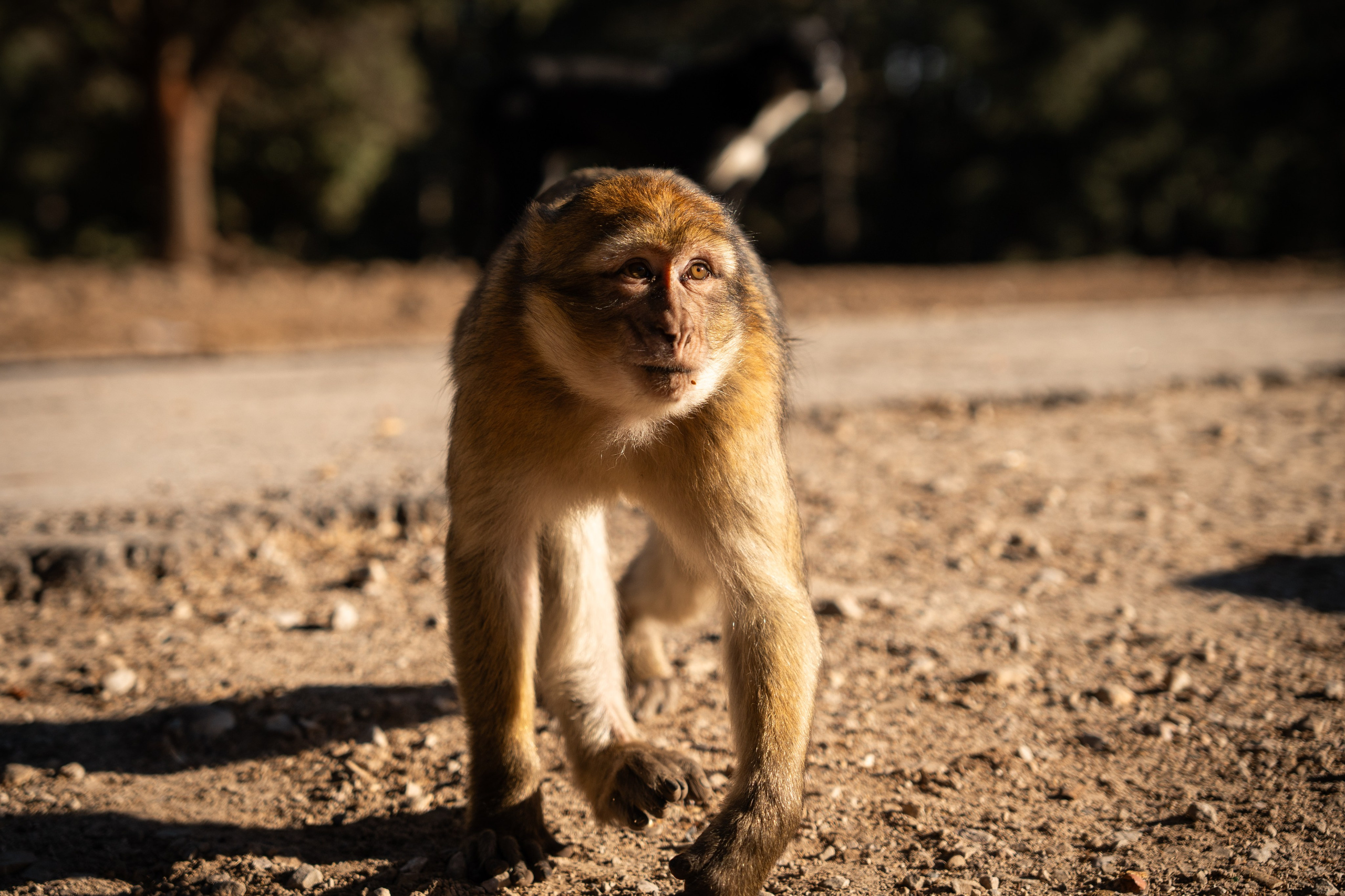 Марокко. Илья Варин — Фотограф Москва, Тверь