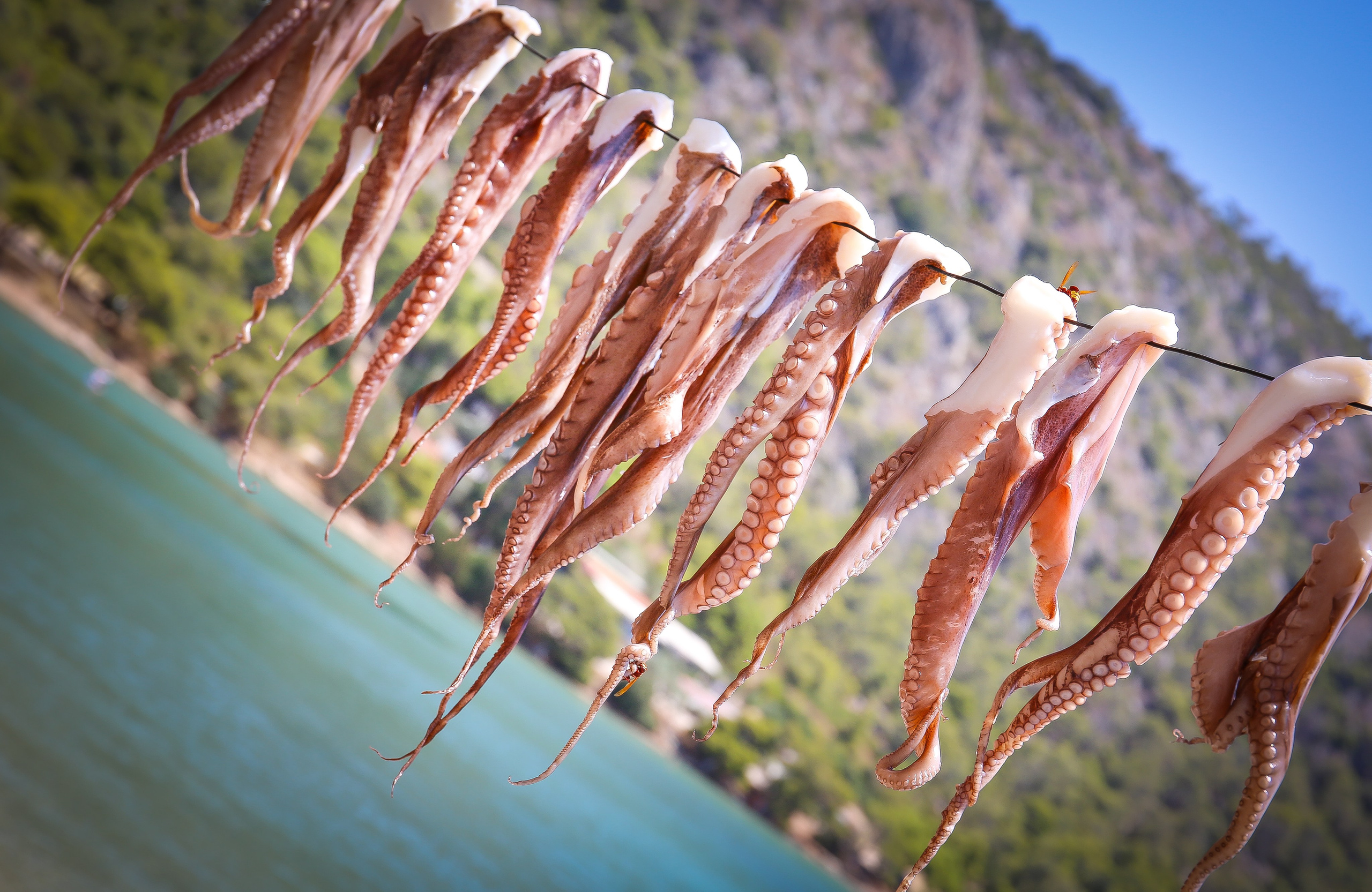 Греция: термальный курорт Лутраки. Дарья Письменюк / Darya Leitstern — фотограф, музыкант, журналист, путешественник