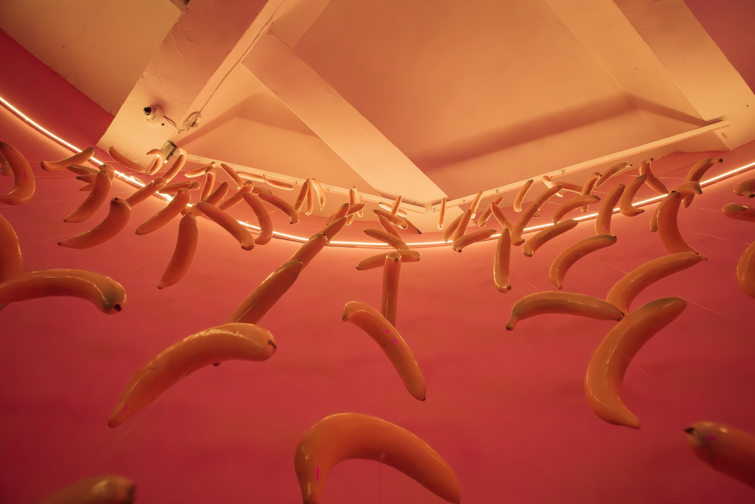 Mr. Flamingo (лето). Аренда лофта в СПб для мероприятий