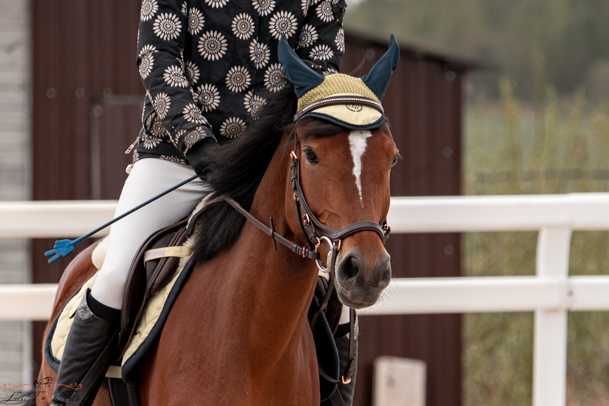Кубок Победы конного Клуба EQUIPARK по конкуру. Конный и фотограф с животными в Твери Топталова Люся