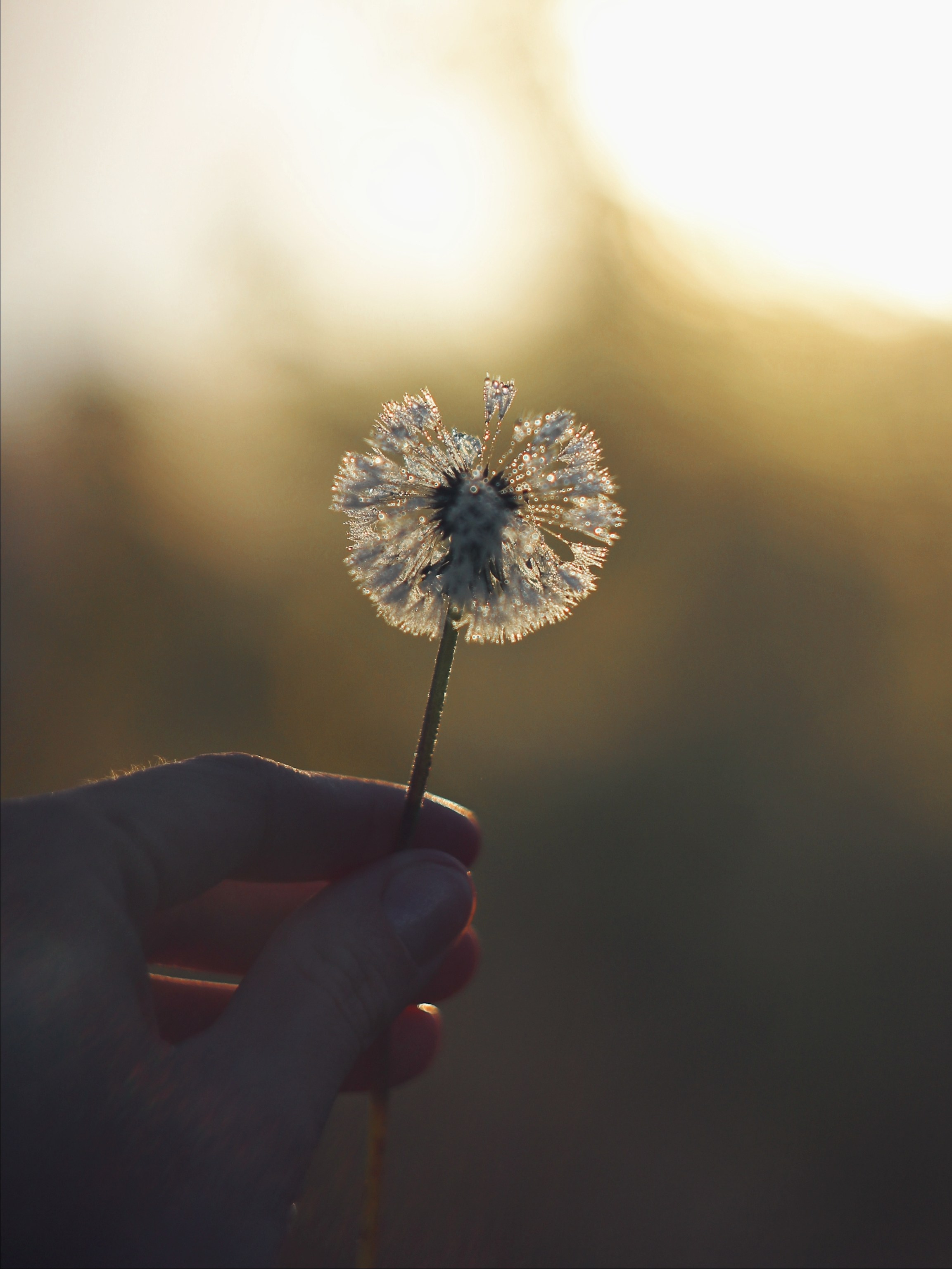 Опустошенность. С любовью, фотохудожник