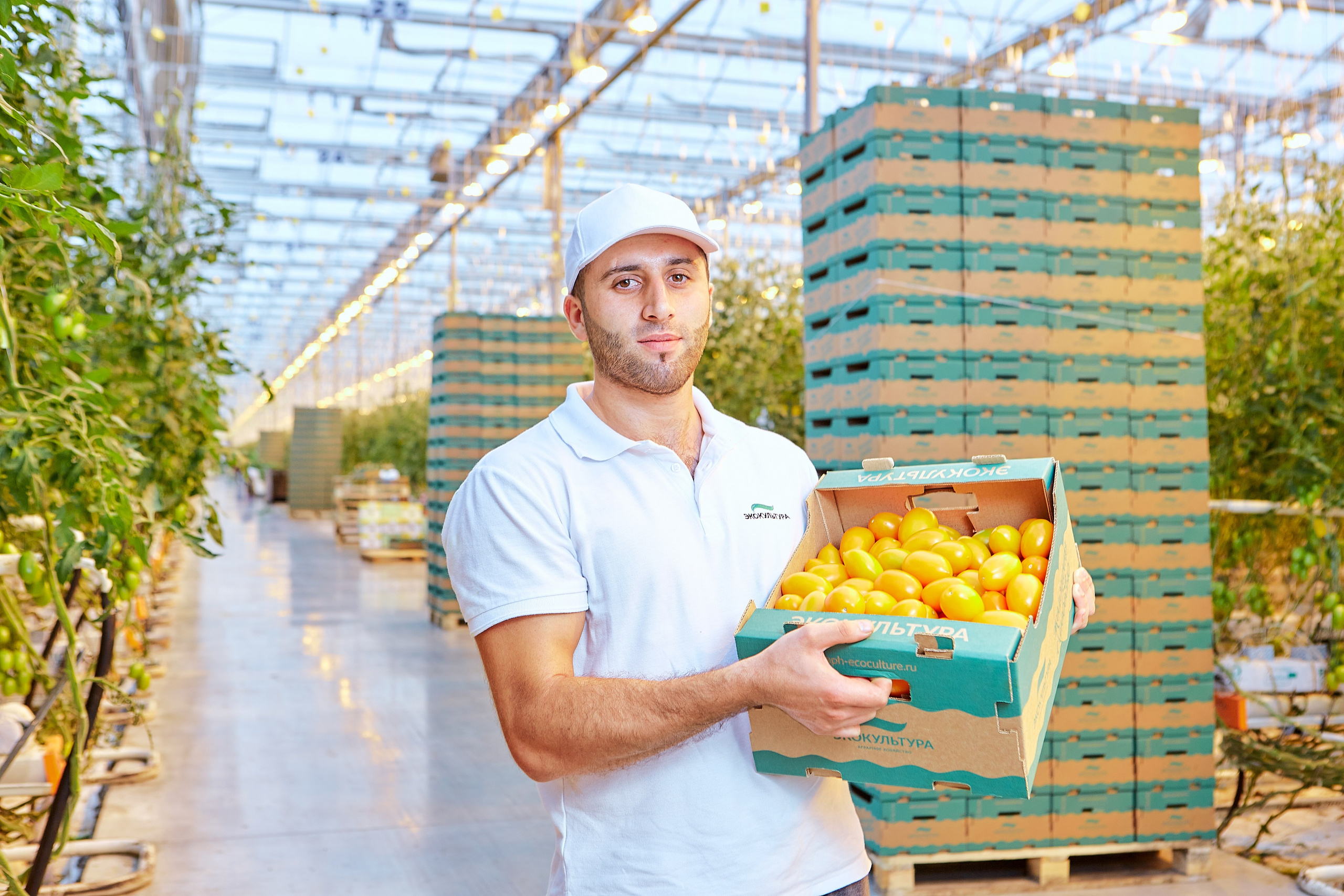 Эко-Культура