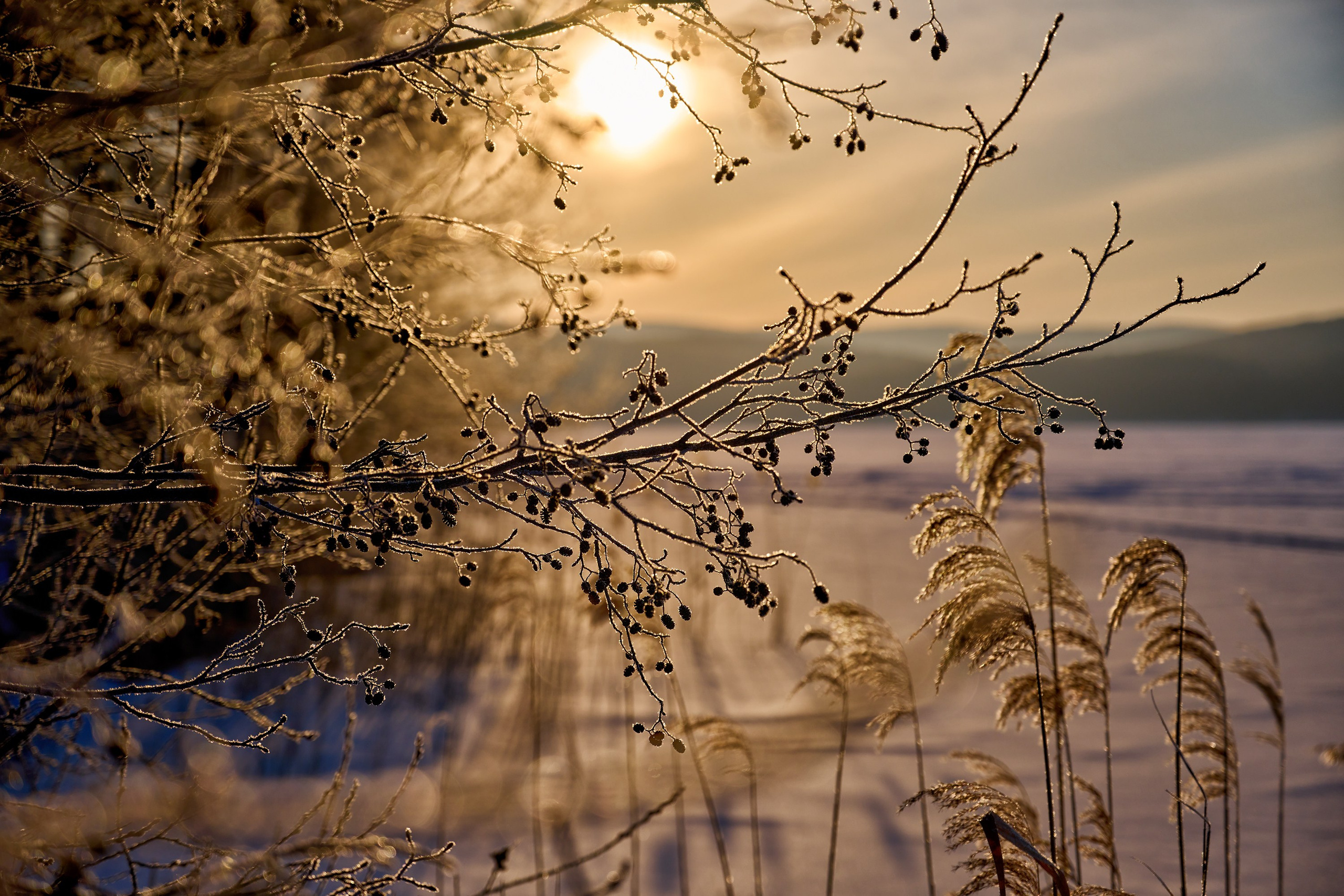 Пейзажи. Яркие фото на Чёрном море