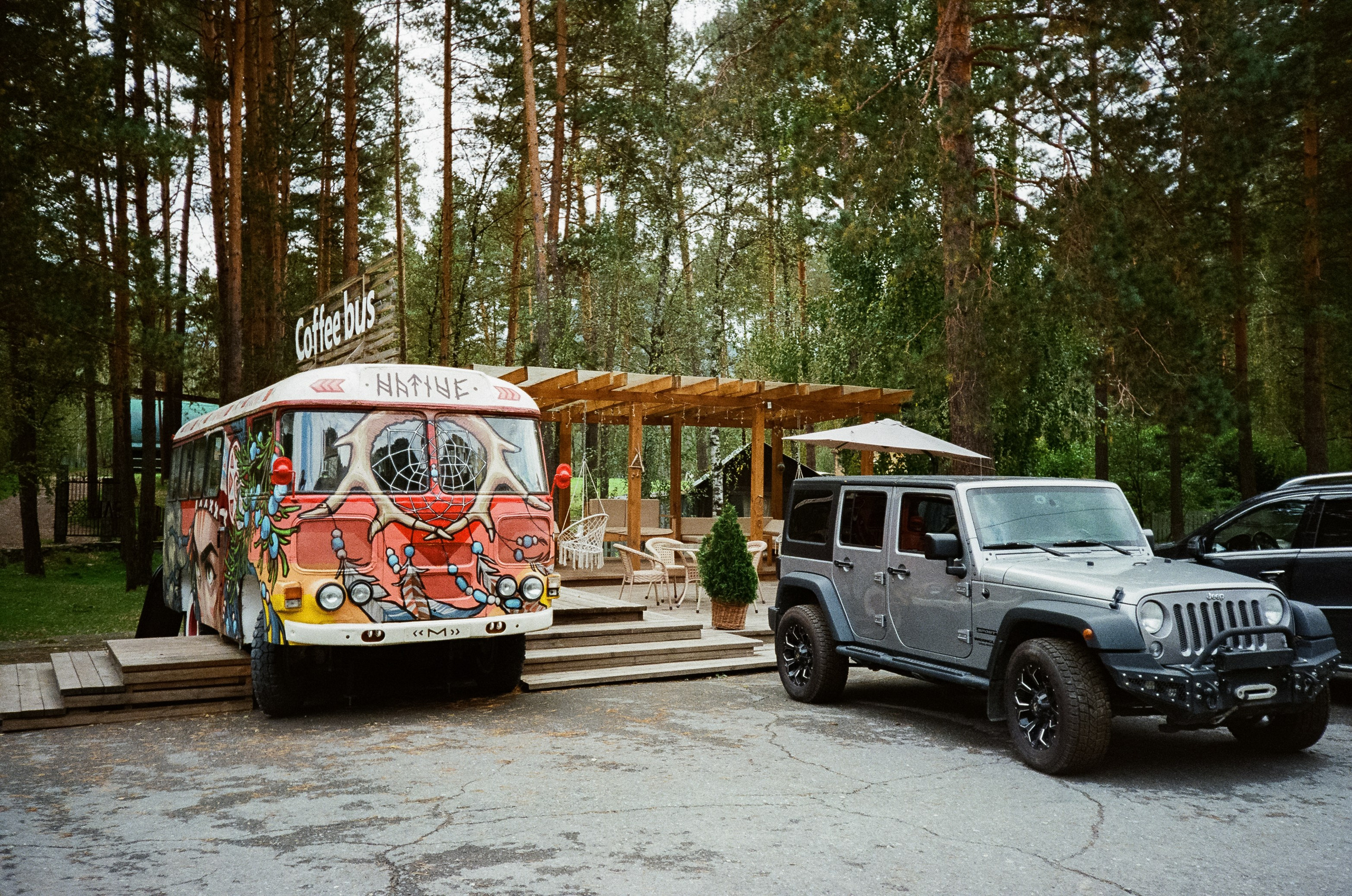 Катунь и сосны на базе Беррель. Ботанический сад. Фотограф-документалист Мария Осокина