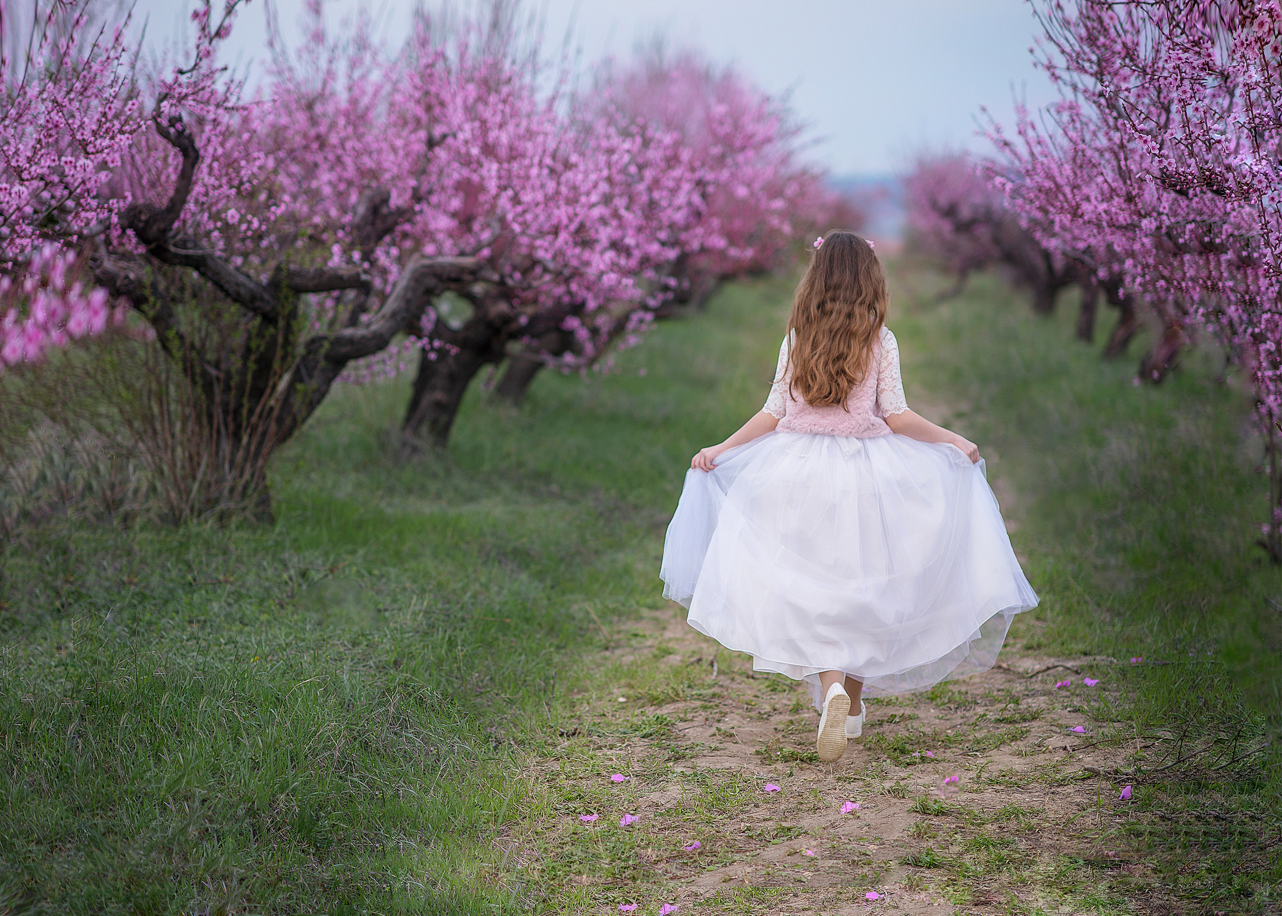 Семейный и детский фотограф в Севастополе. Семейный фотограф в Ялте