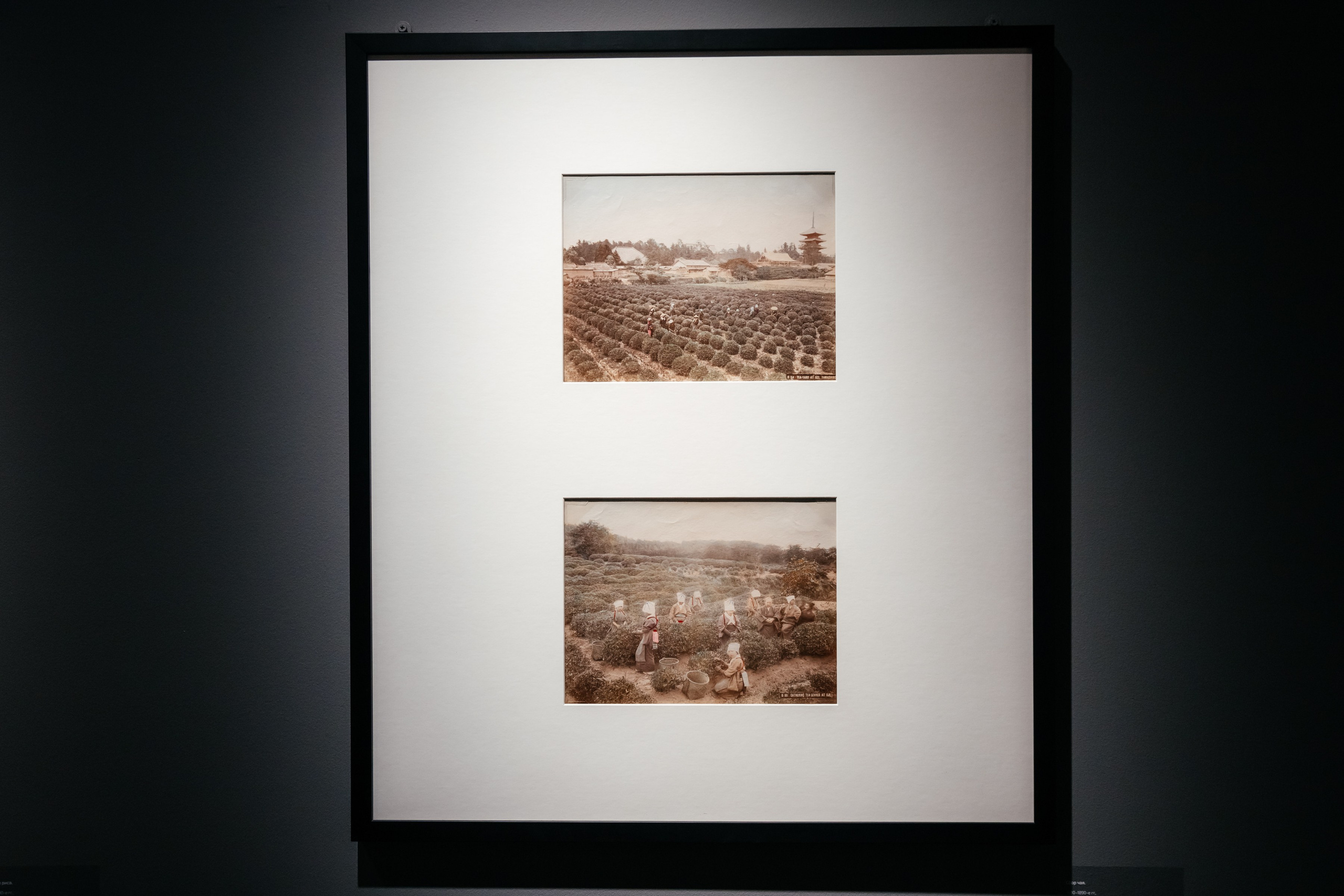 ЯПОНИЯ. ДРУГОЙ МИР. Фотограф в Красноярске Оксана Корчагина