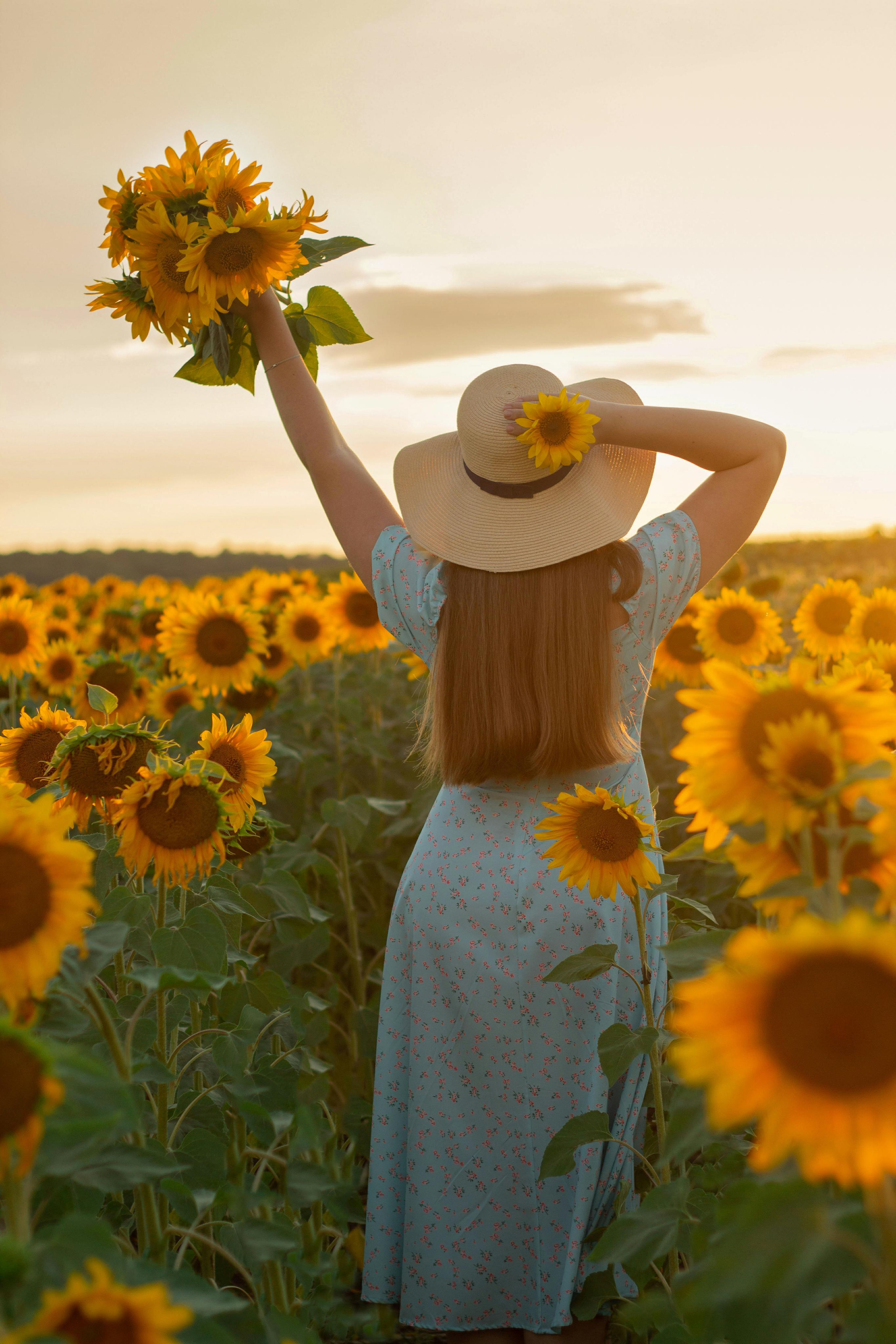 Фотосессия в подсолнухах. Детский и семейный фотограф в Уфе Зинаида Вольштейн