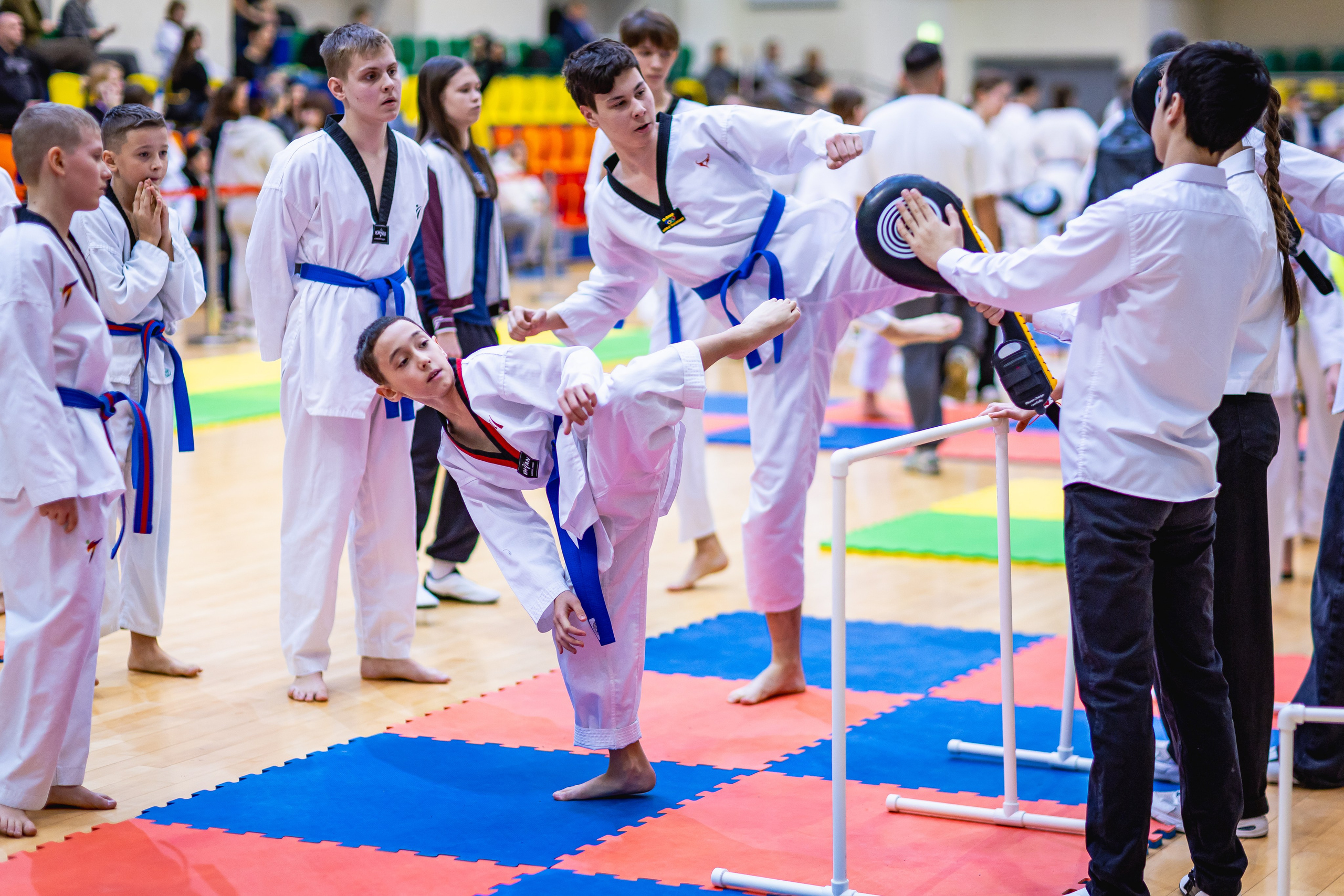 Первенство ВДЮФСОО «ФЕДЕРАЦИЯ ДЕТСКОГО ТХЭКВОНДО РОССИИ» и МОО СПКЕ «ЭРИДАН» по «СИЛОВОМУ МНОГОБОРЬЮ». Спортивный фотограф Максим Серегин
