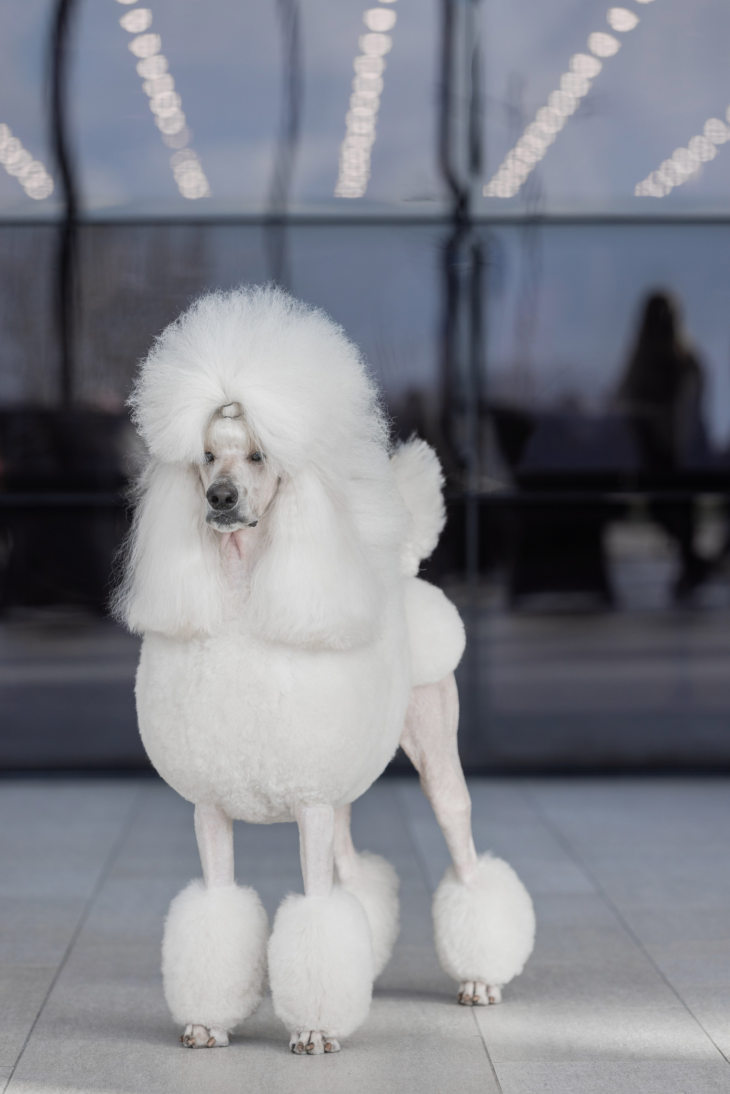 Фотограф Алена Звездина