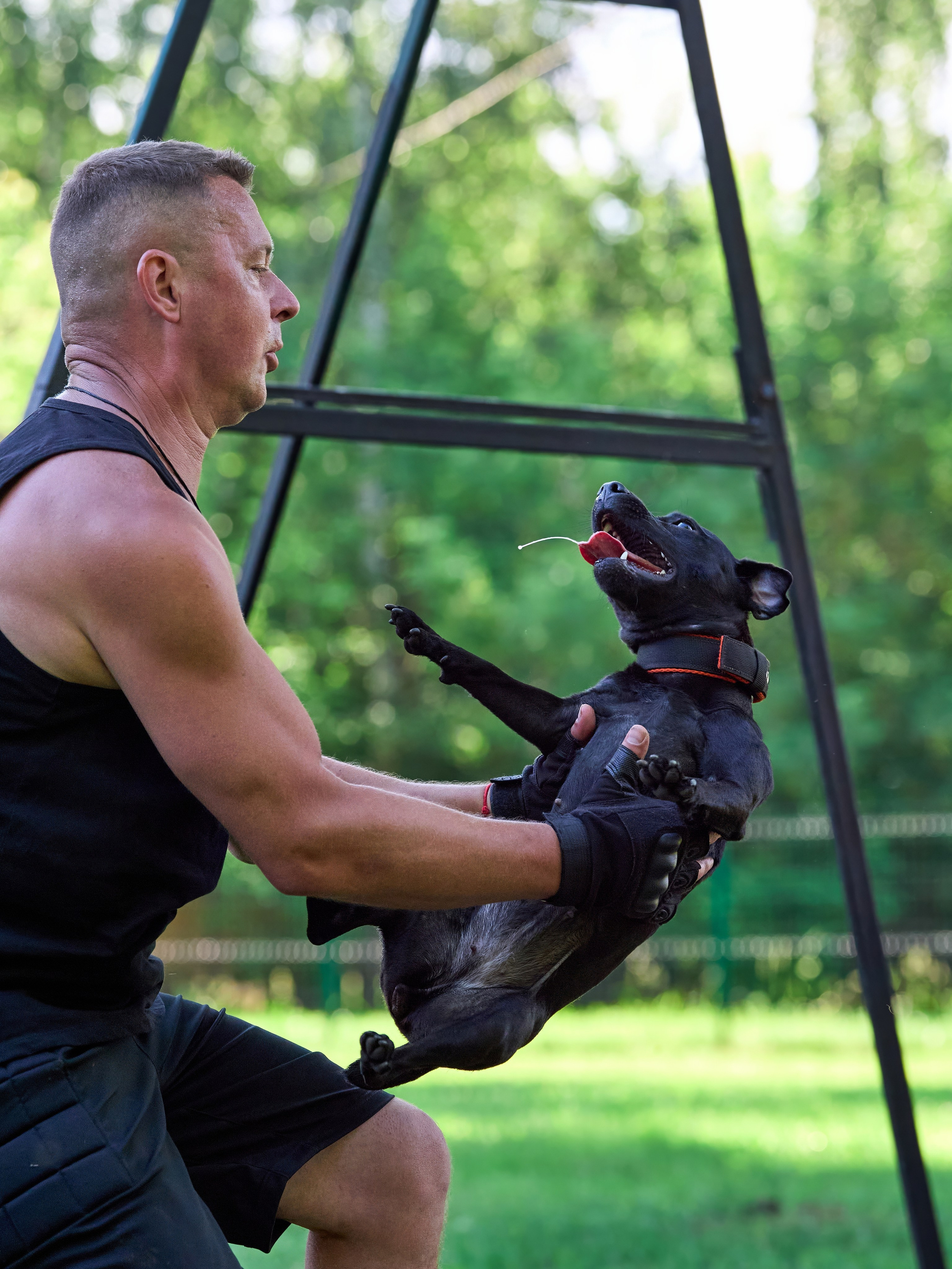 Двухдневные соревнования «Jump'n'Gym Fest — 2024». Фотограф-анималист Михаил Манухин