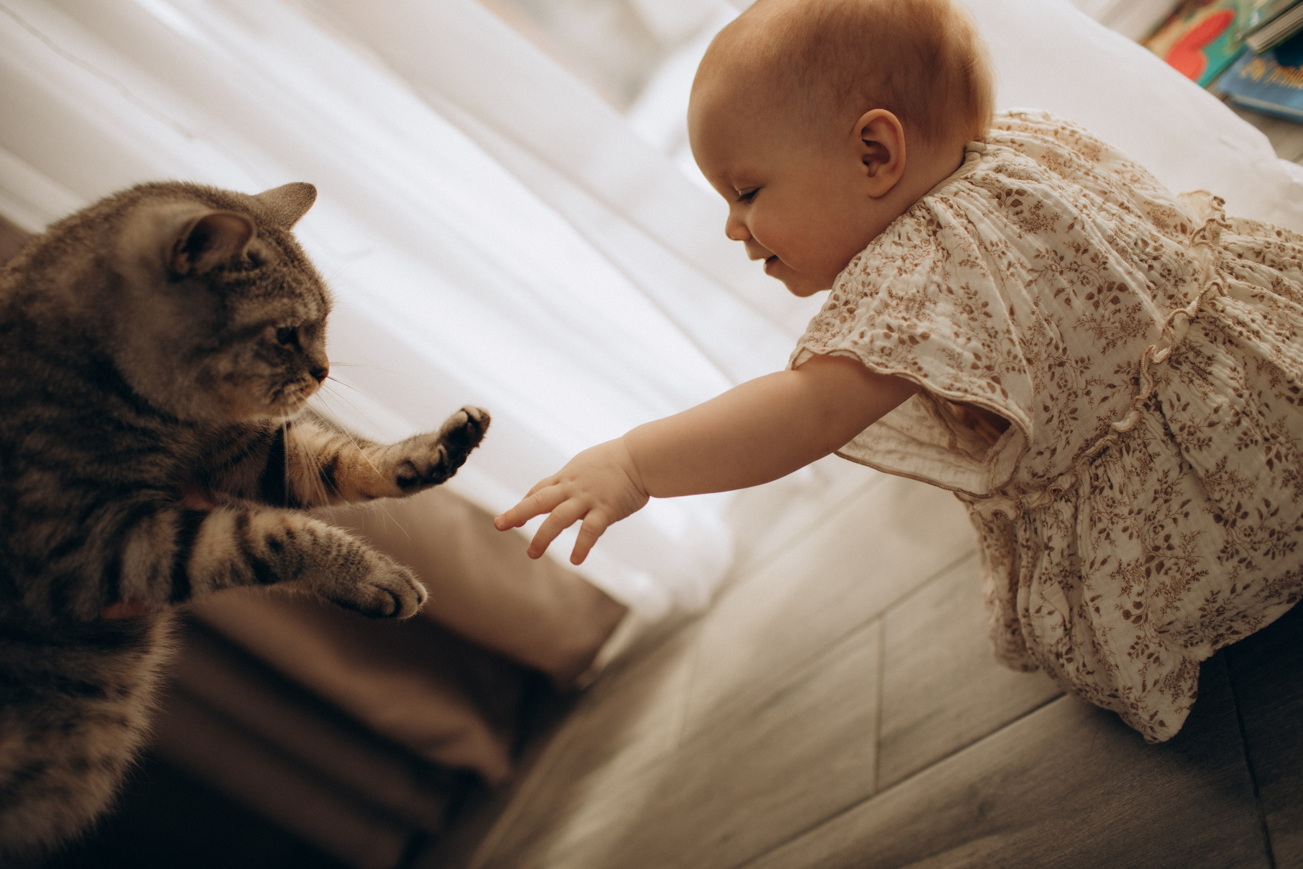 Семейный фотограф в Челябинске Ксения Зубкова