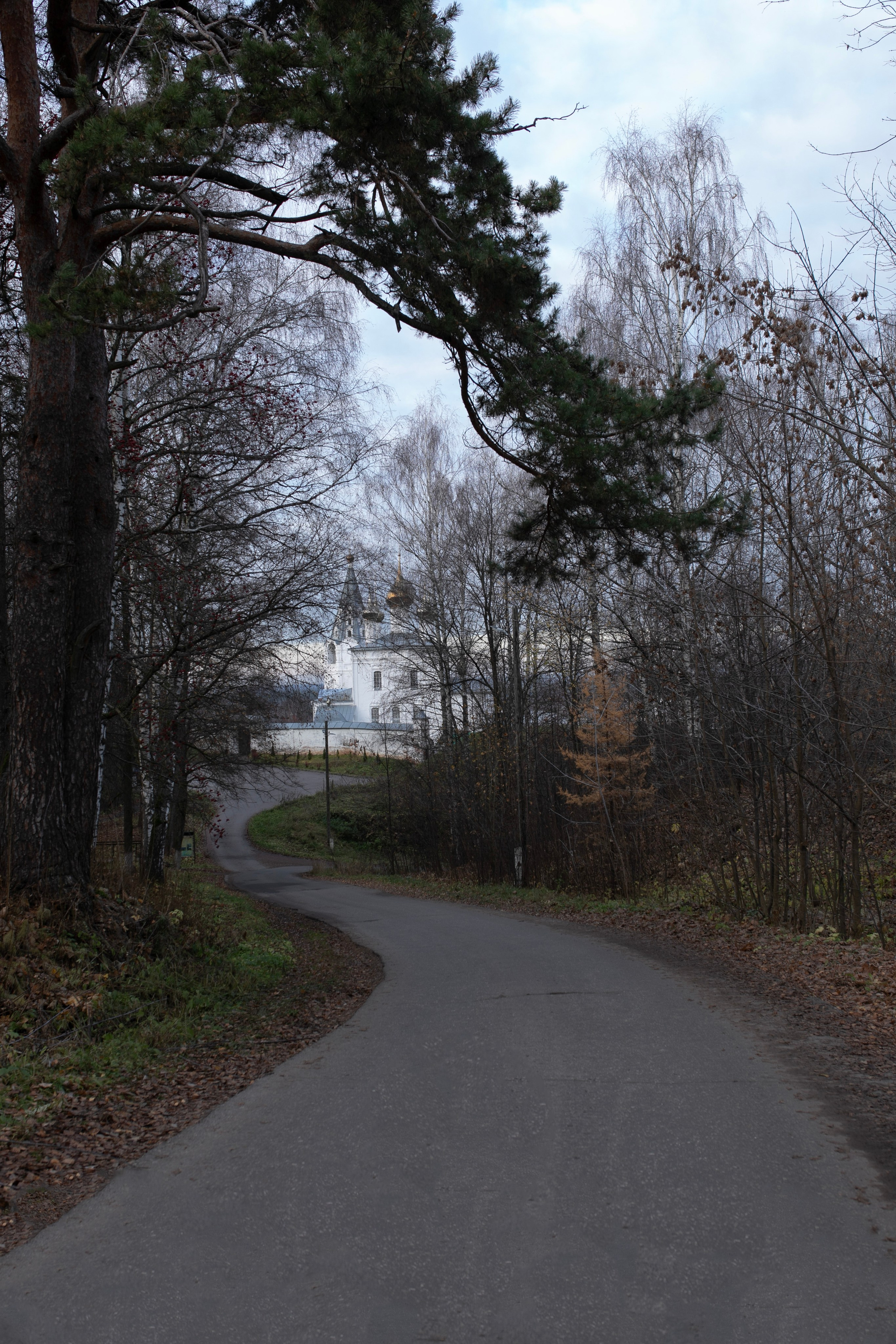 Муром — Гороховец'25. Фотограф-портретист в Москве