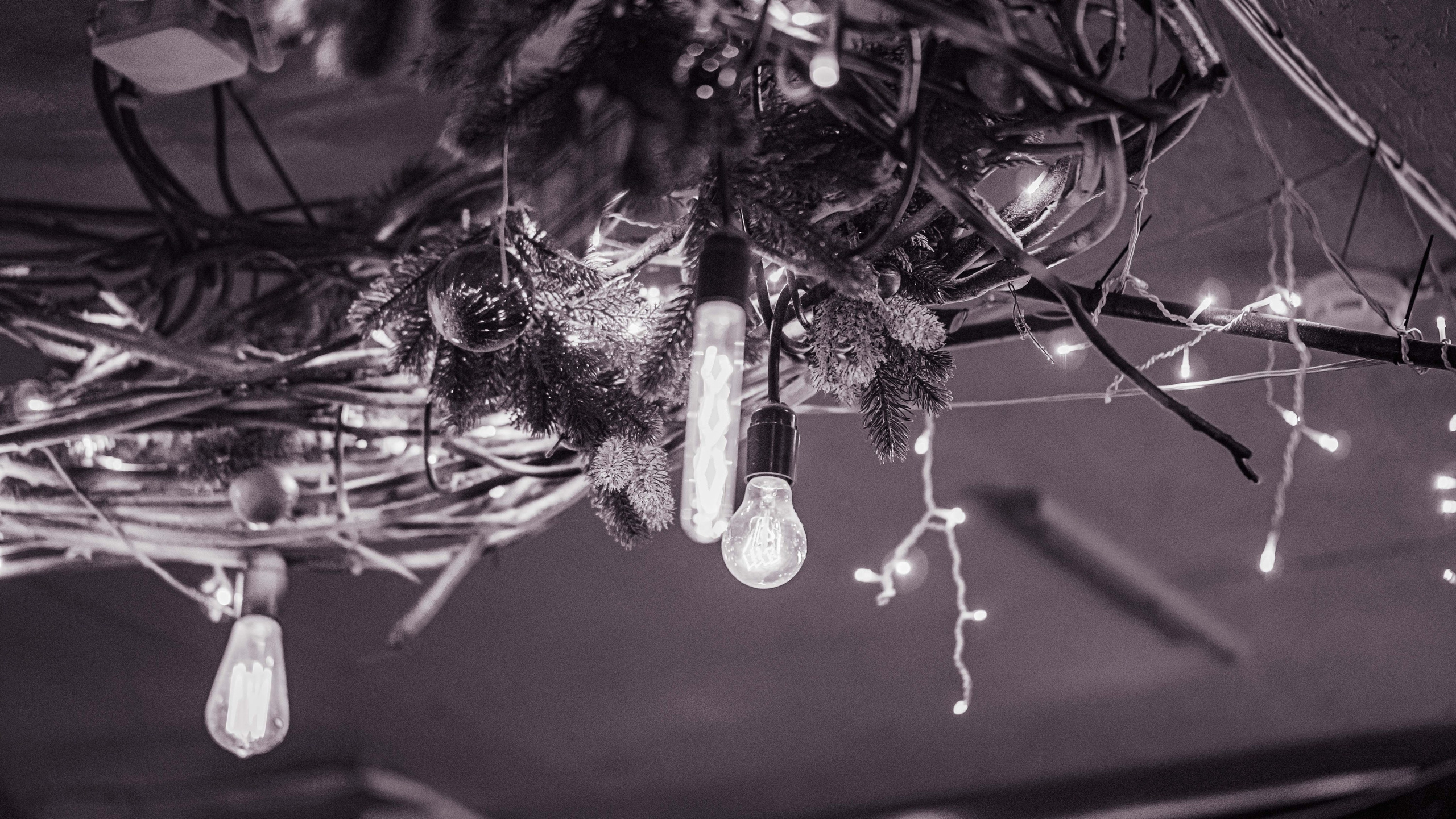 Фоторепортаж поэтического события