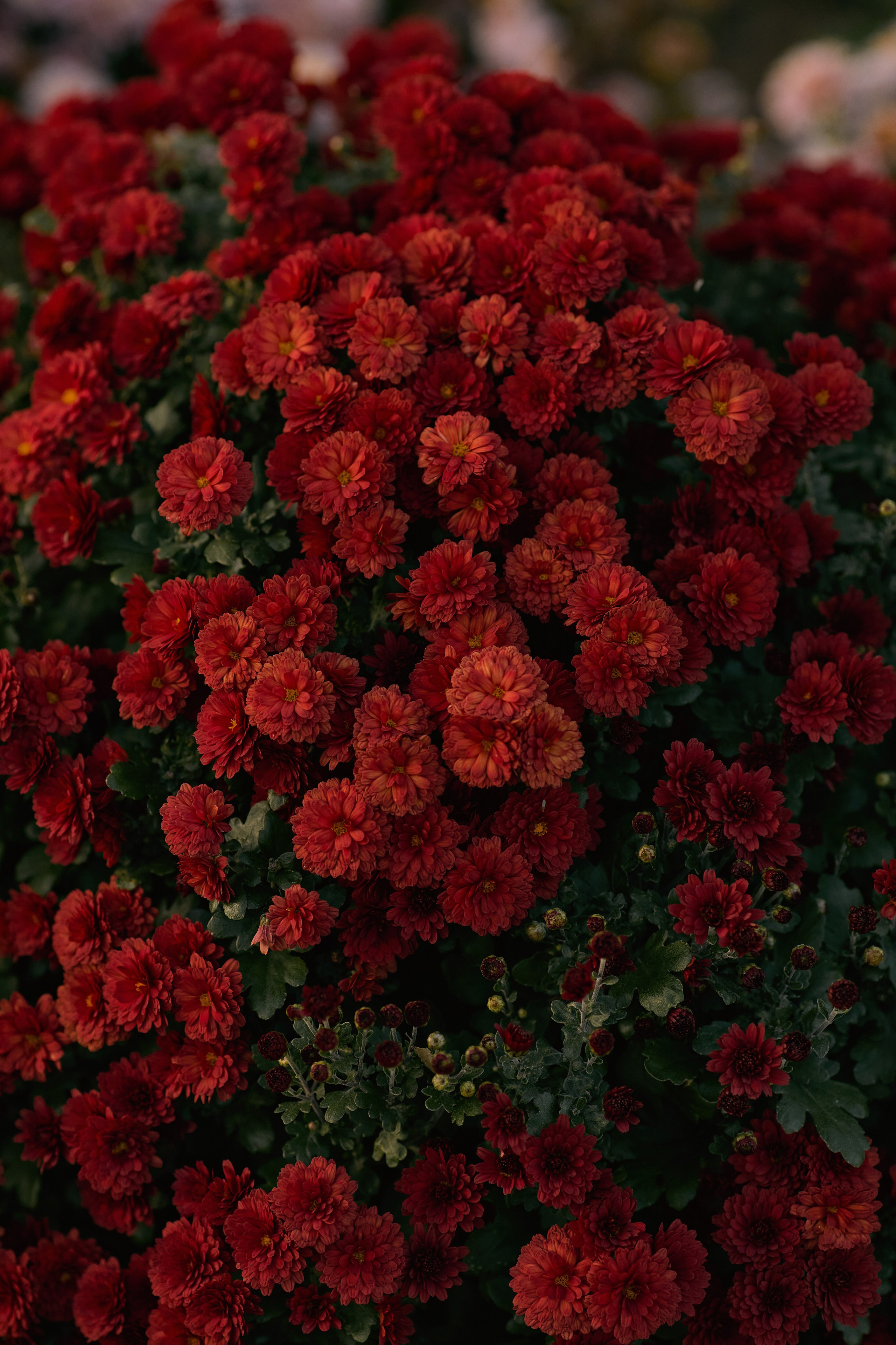 Как убрать муар на фото? 4 рабочих способа!