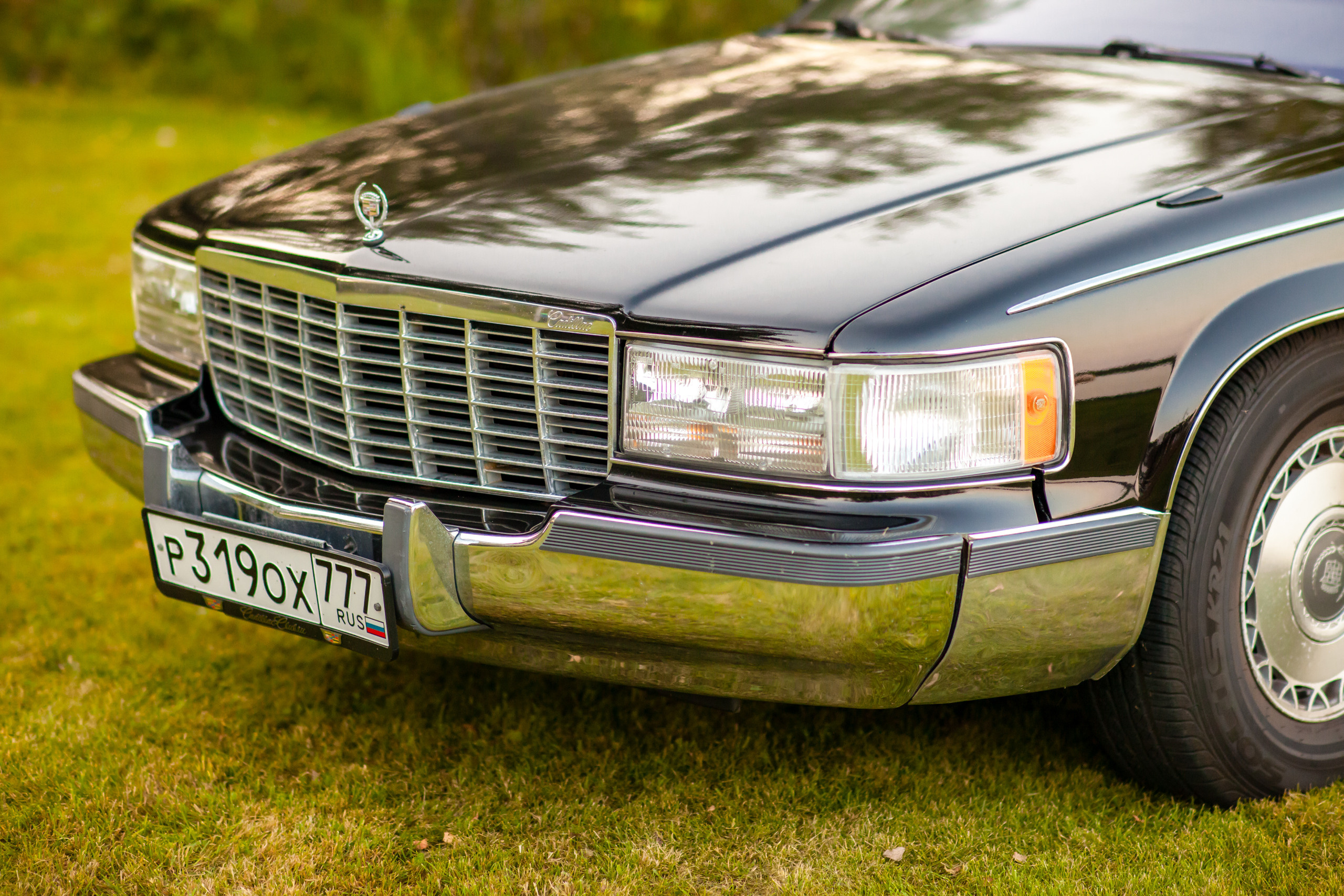 Прогулка с Ветерком