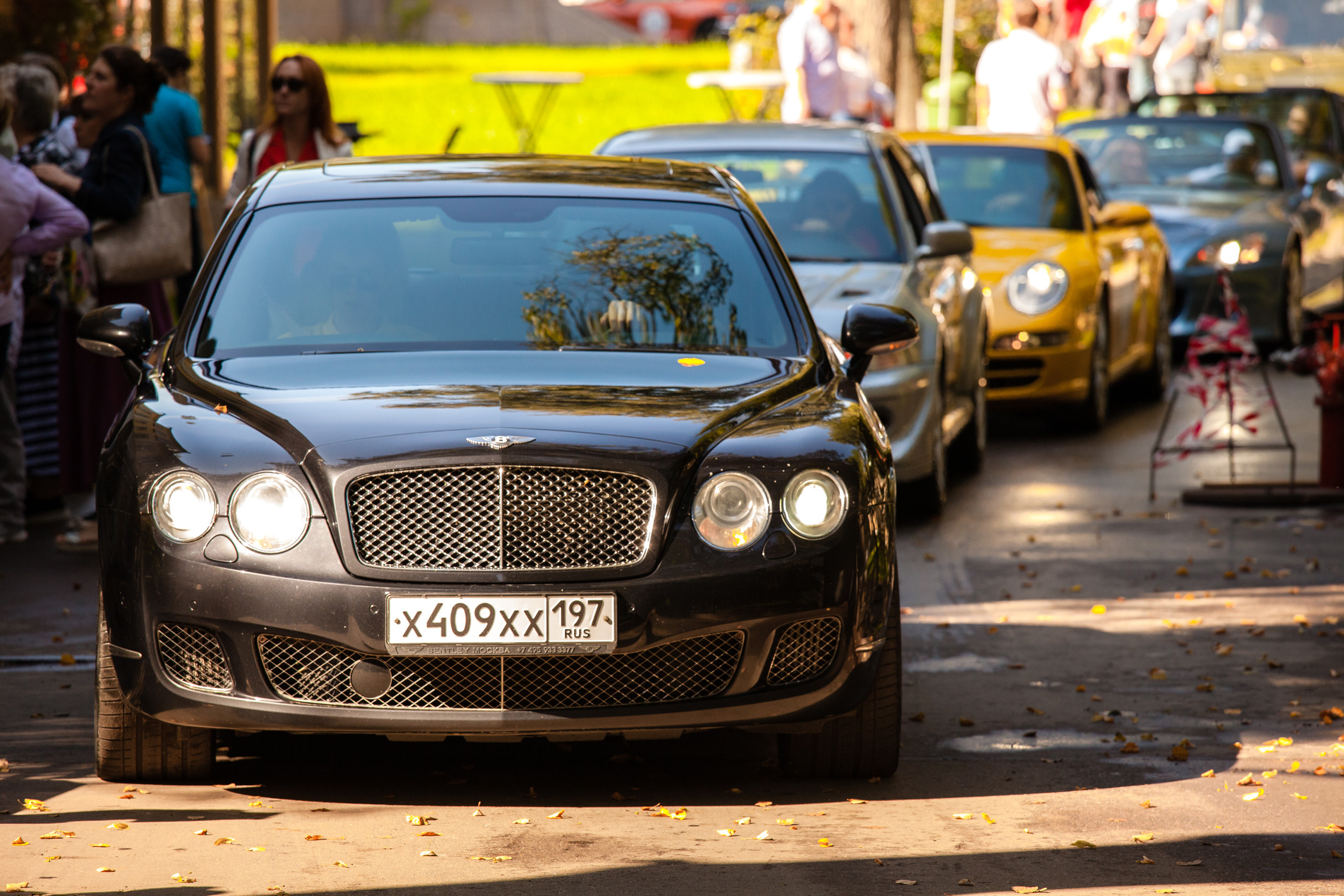 Прогулка с Ветерком