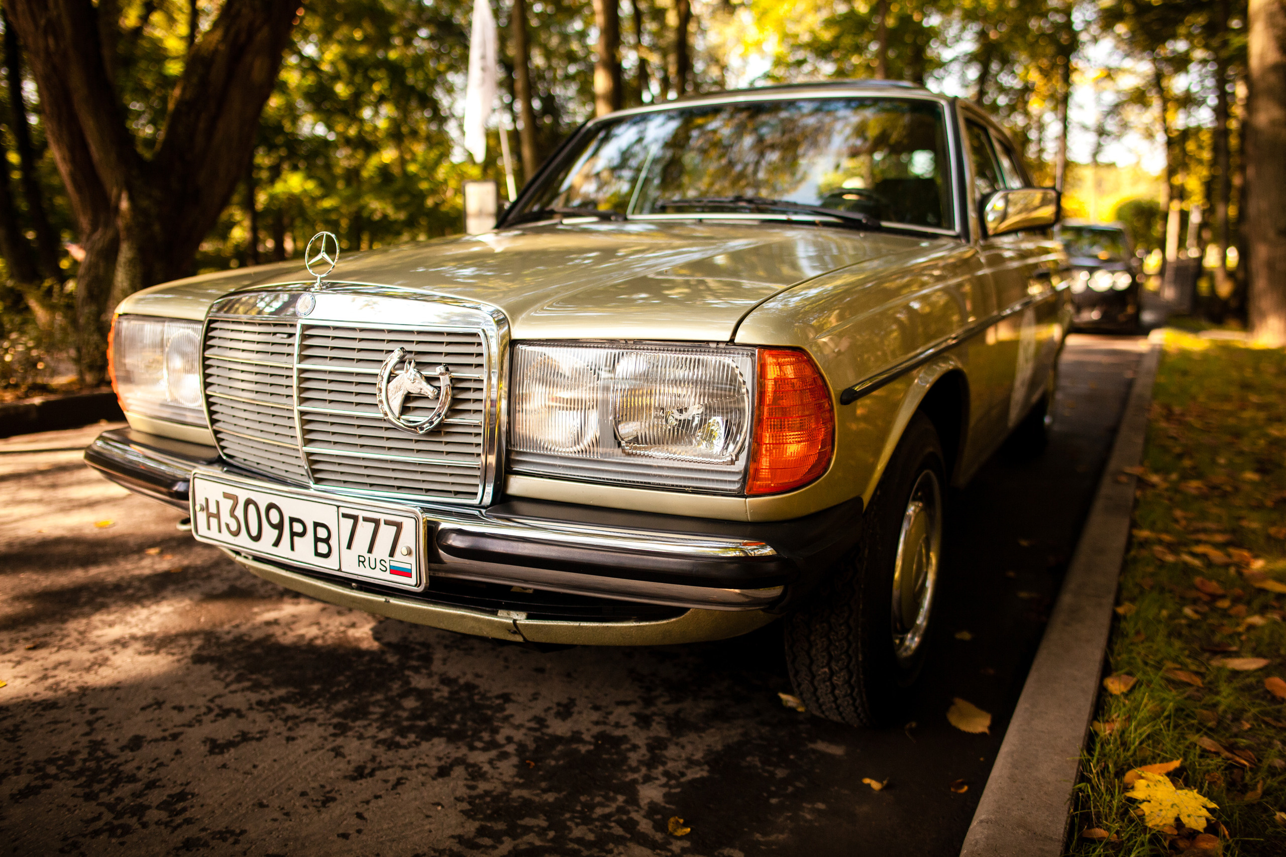 Прогулка с Ветерком