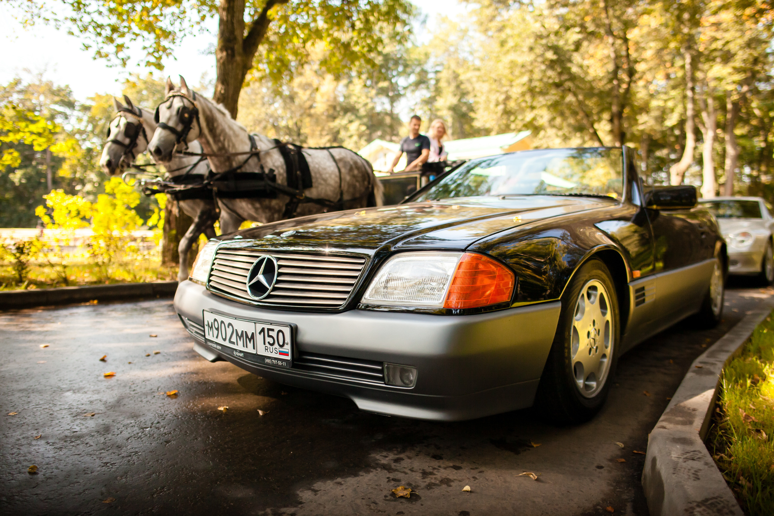 Прогулка с Ветерком