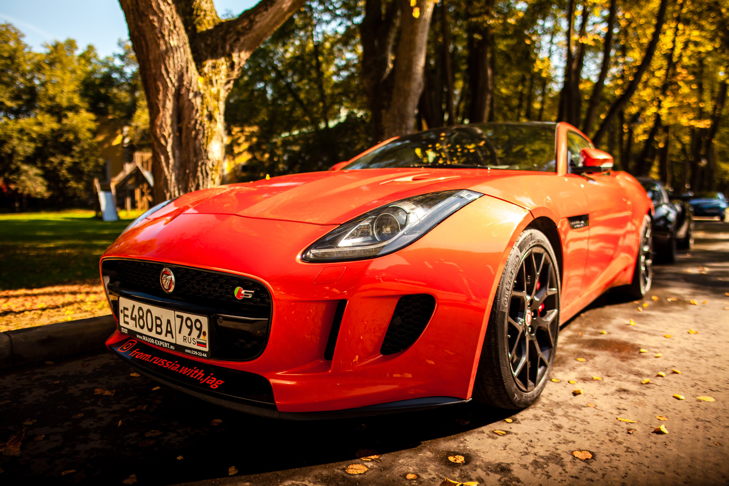 Прогулка с Ветерком