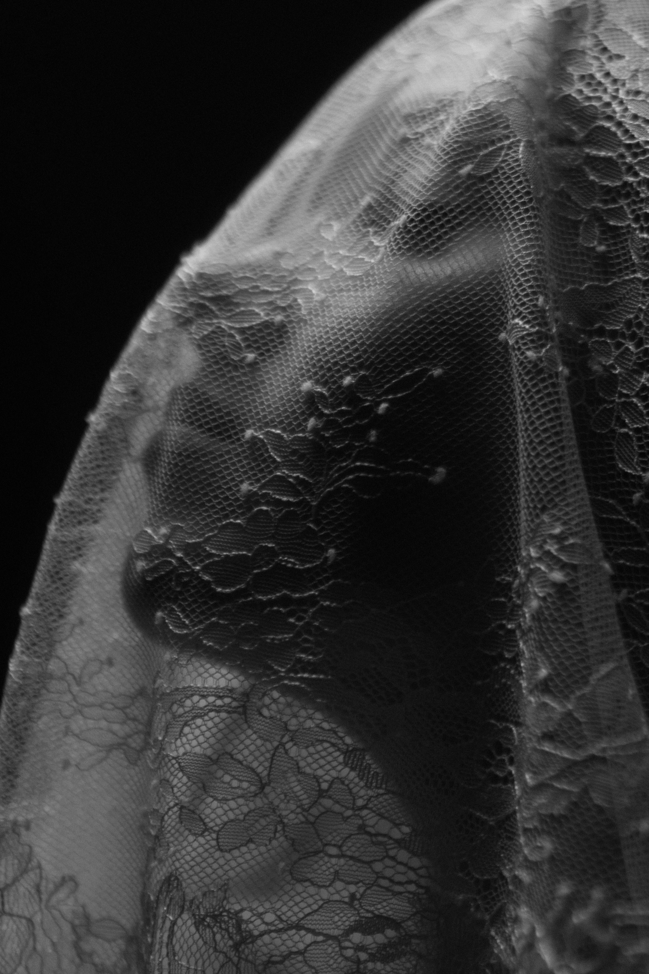 Свадебный фотограф в Барнауле Четошникова Анна