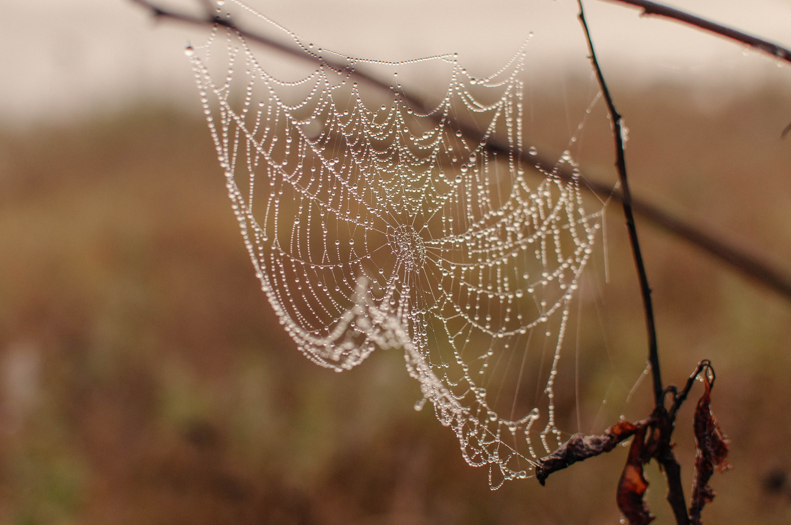 Семейный фотограф из Петрозаводска, Карелия