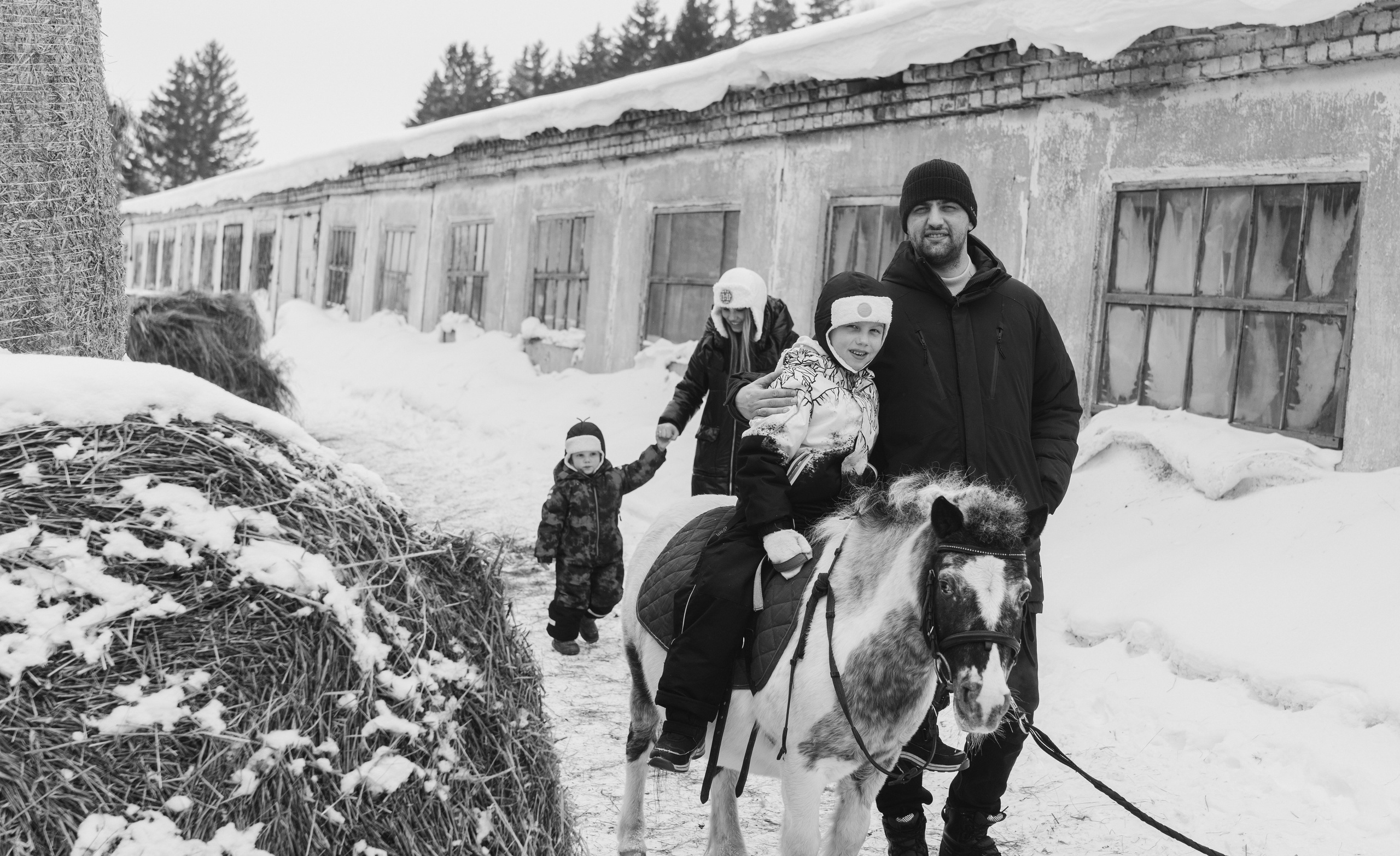 Выходной на конюшне. Семейный, ньюборн фотограф, фотограф на роды в Москве, Виктория Тюльдюкова