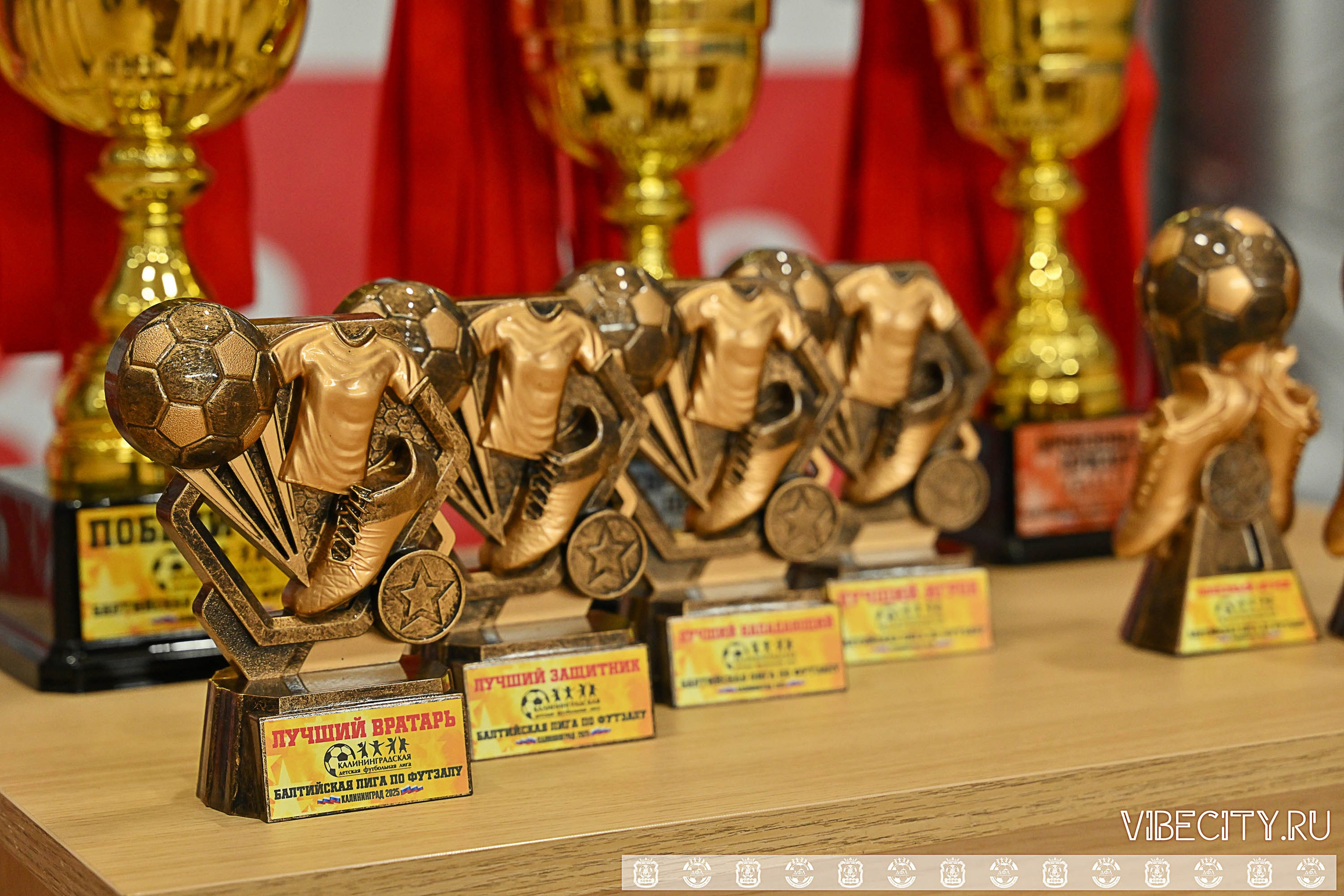 БАЛТИЙСКАЯ ЛИГА ПО ФУТЗАЛУ U10. VIBECITY.RU Вайб Сити Ру Фоторепортажи Фотоотчеты Калининград