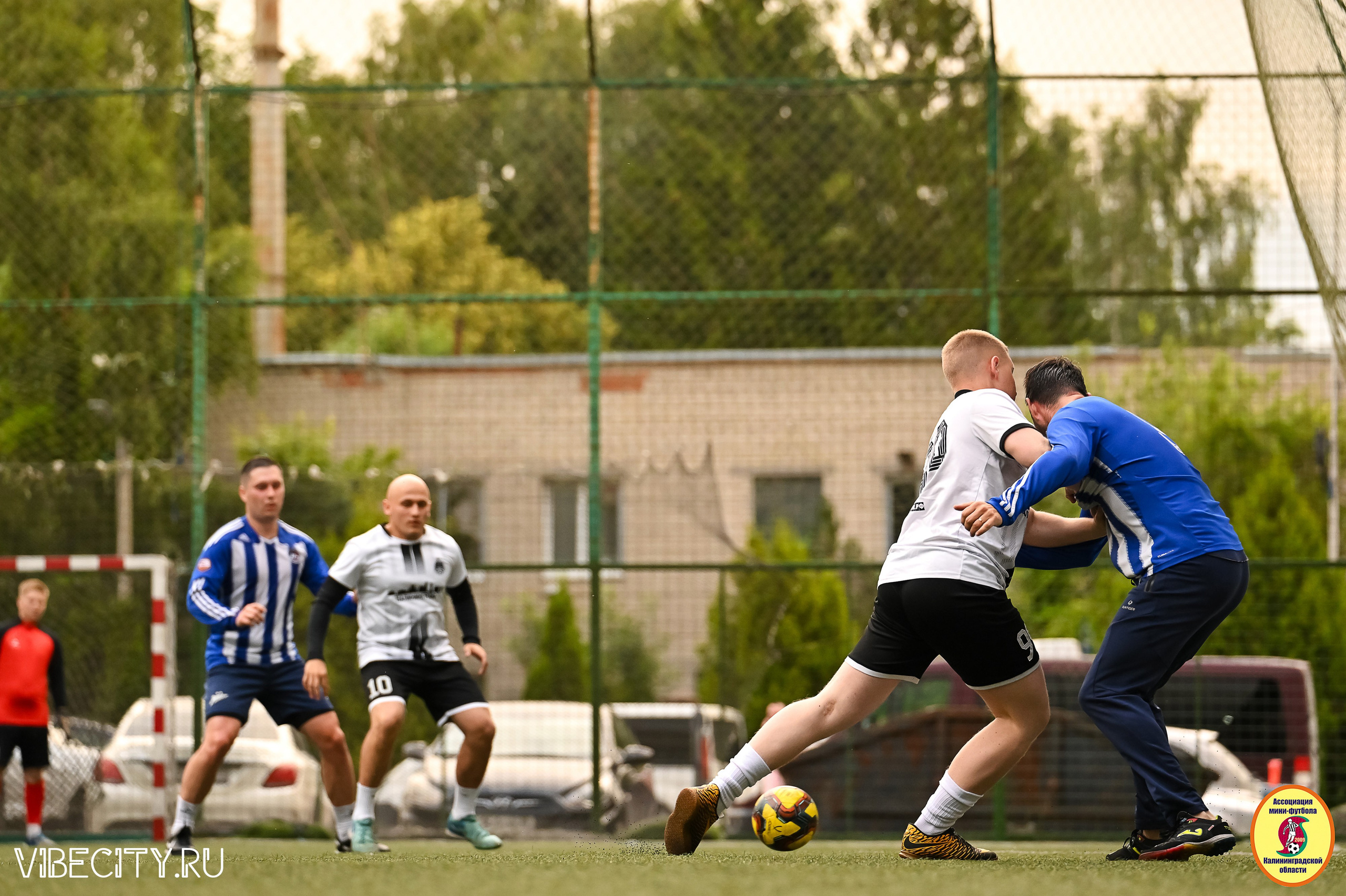ИГРЫ МИНИ-ФУТБОЛЬНОЙ И КОРПОРАТИВНОЙ ЛИГИ. VIBECITY.RU Вайб Сити Ру Фоторепортажи Фотоотчеты Калининград