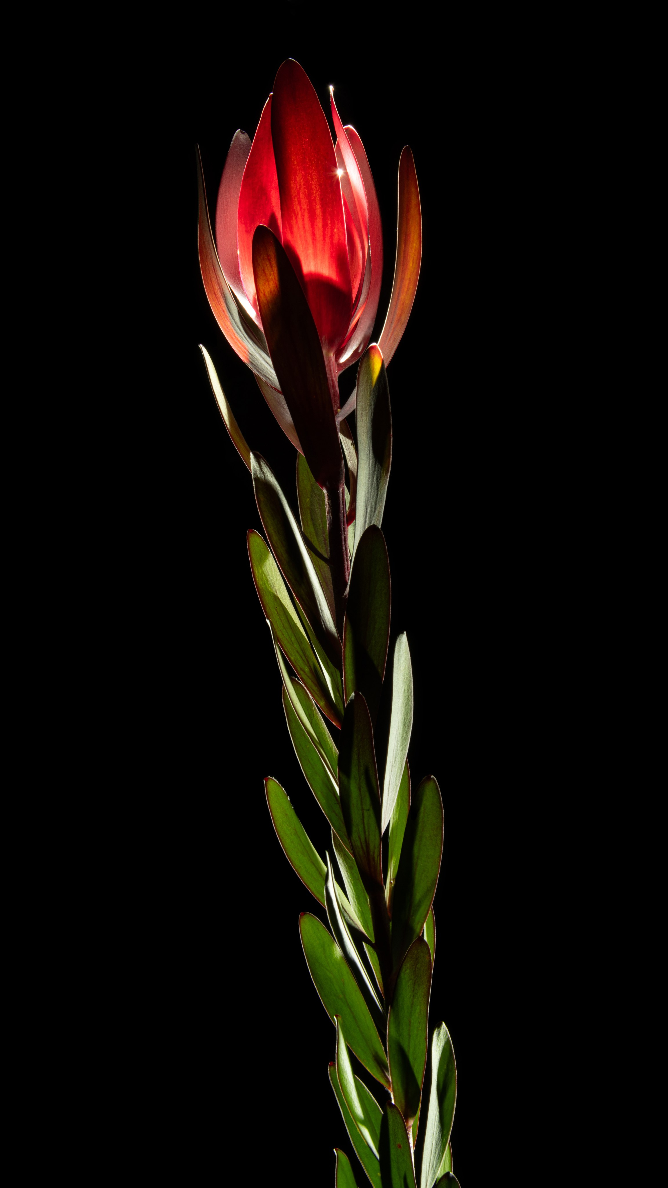 Проекты. Sakunov Photo