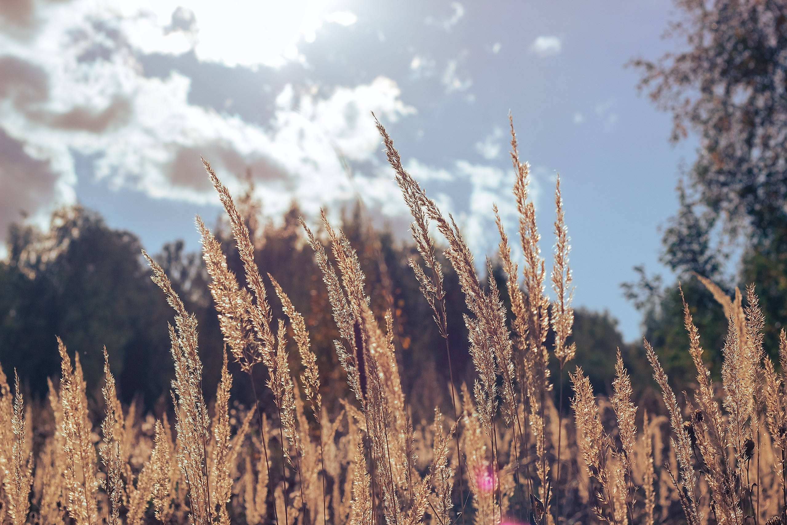 В мире физики. Аmat Victoria Сuram