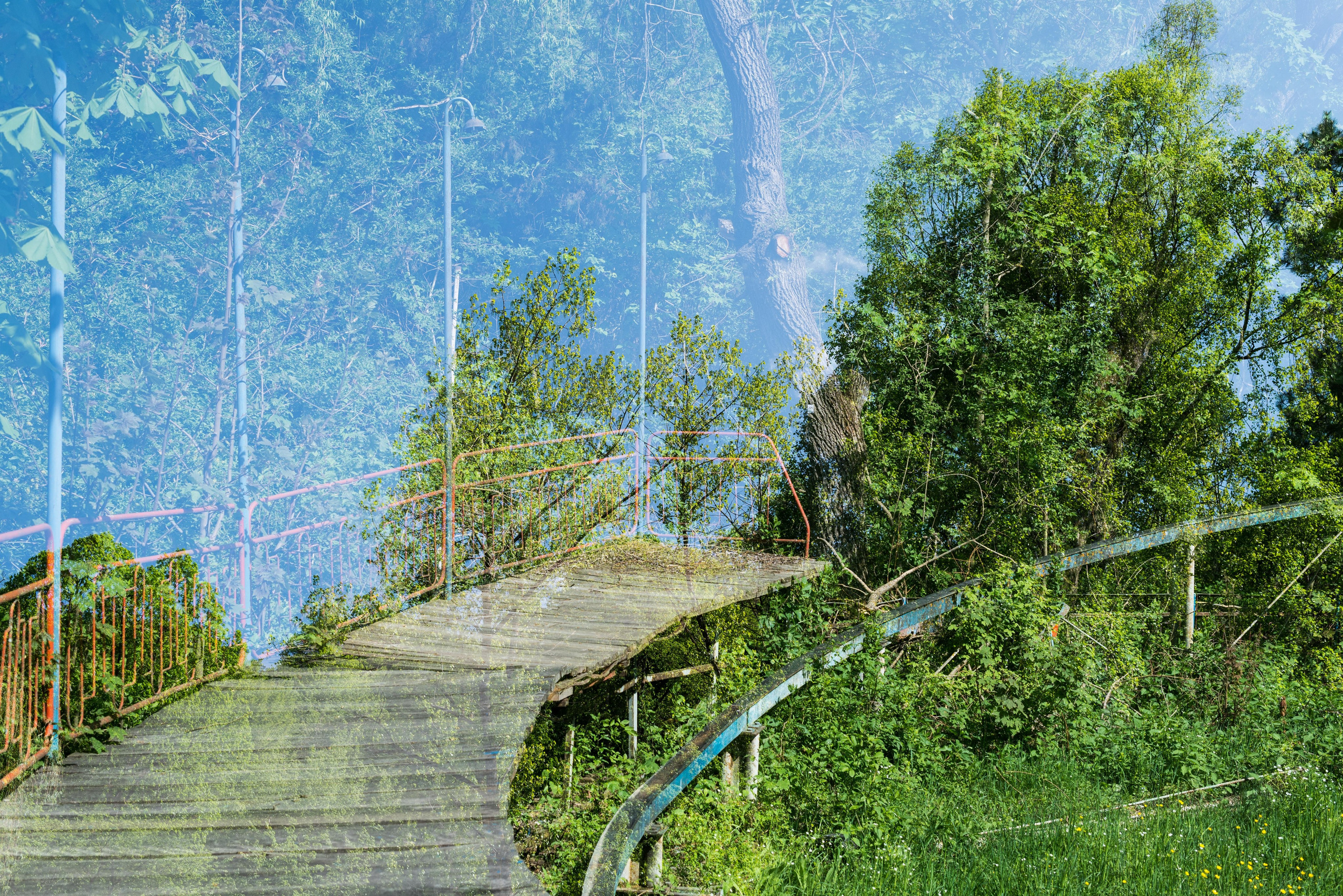 Dilijan park, Armenia. Событийный и тревел фотограф в Москве и по всему миру Мария Салахутдинова
