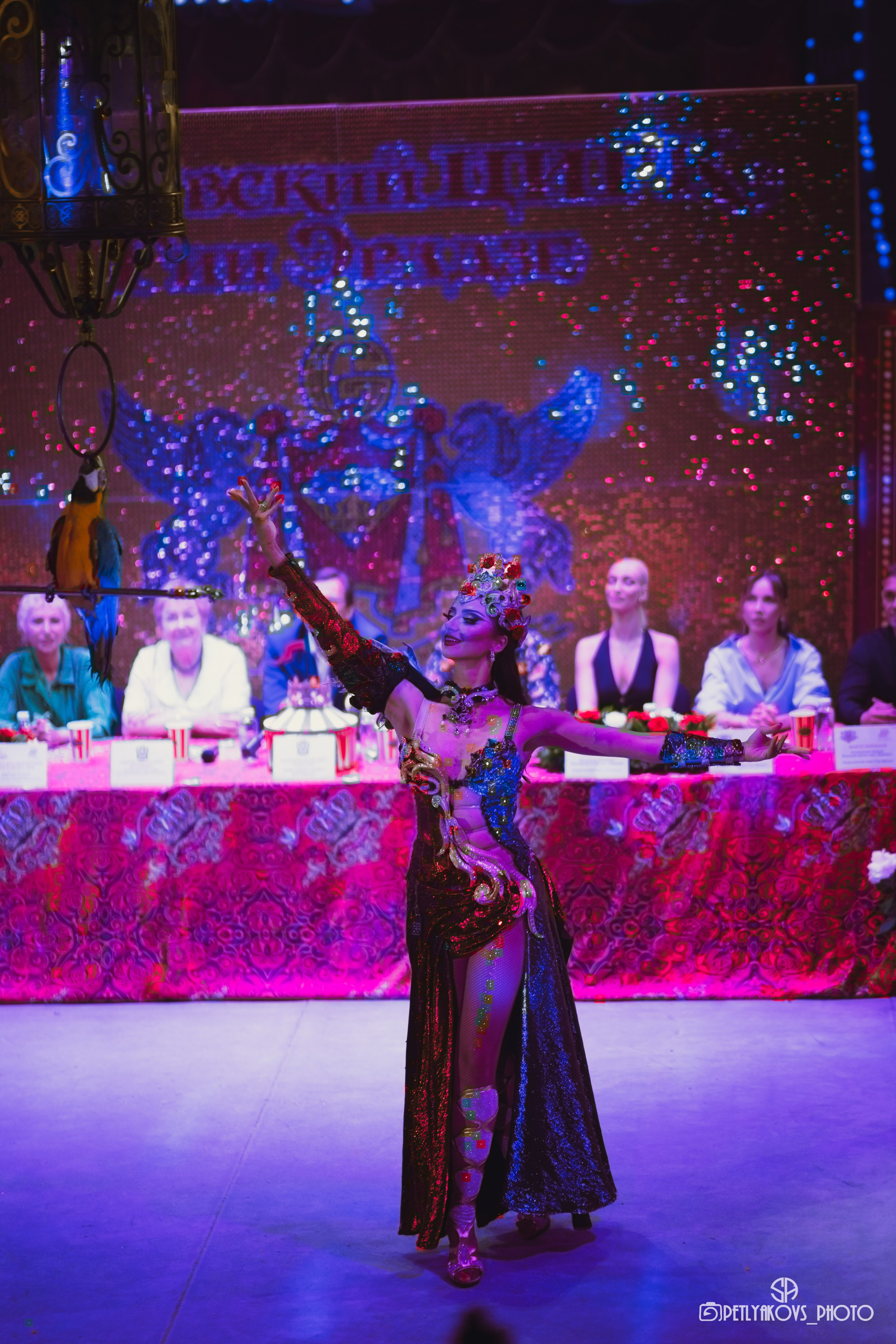 Пресс-конференция циркового шоу Гии Эрадзе «Бурлеск» (репортаж). Фотограф, видеограф Пятигорск, Ставрополь, Ессентуки, Petlyakovs_photo