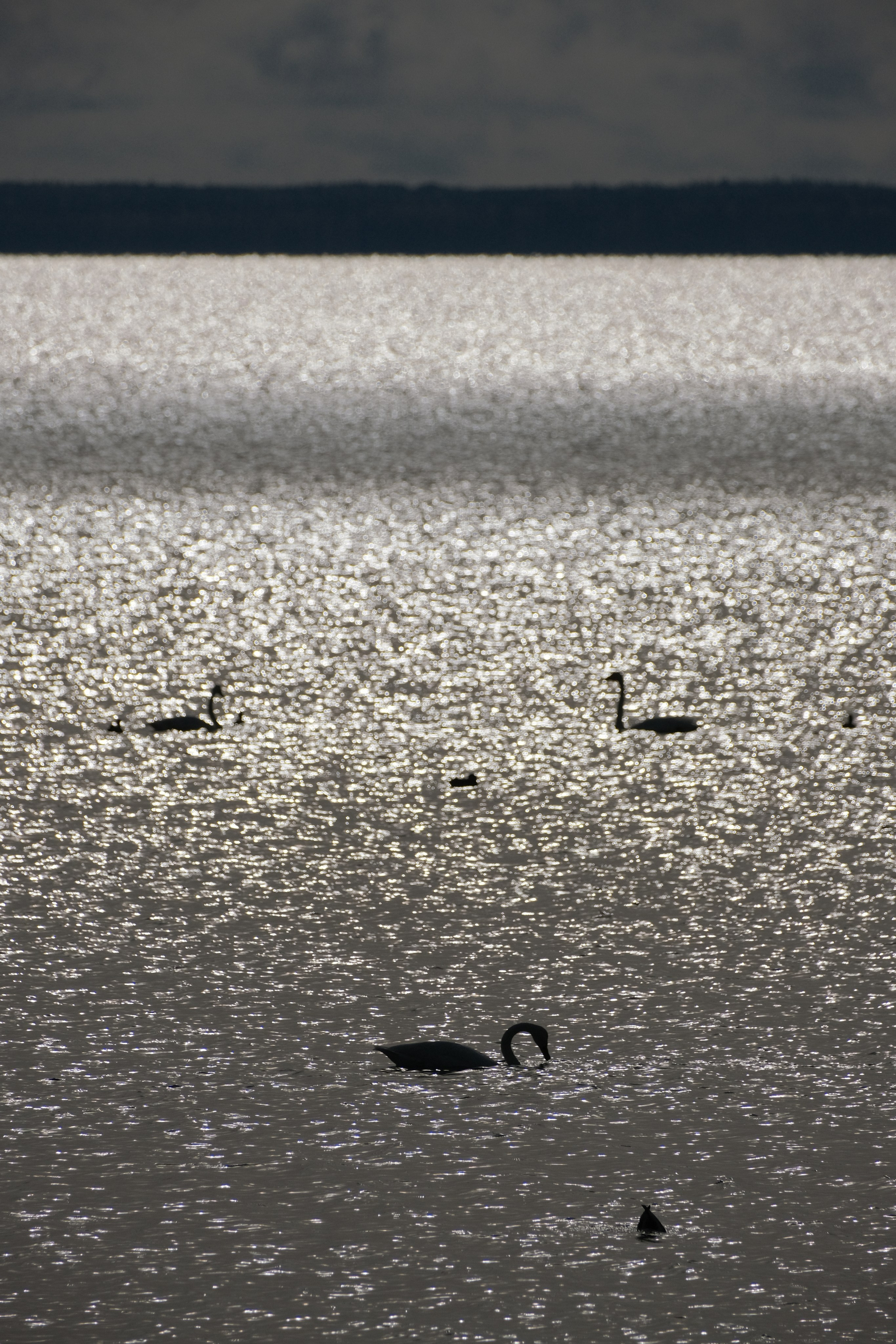 Русский север 27.09.25 — 05.10.25. Фотострелка