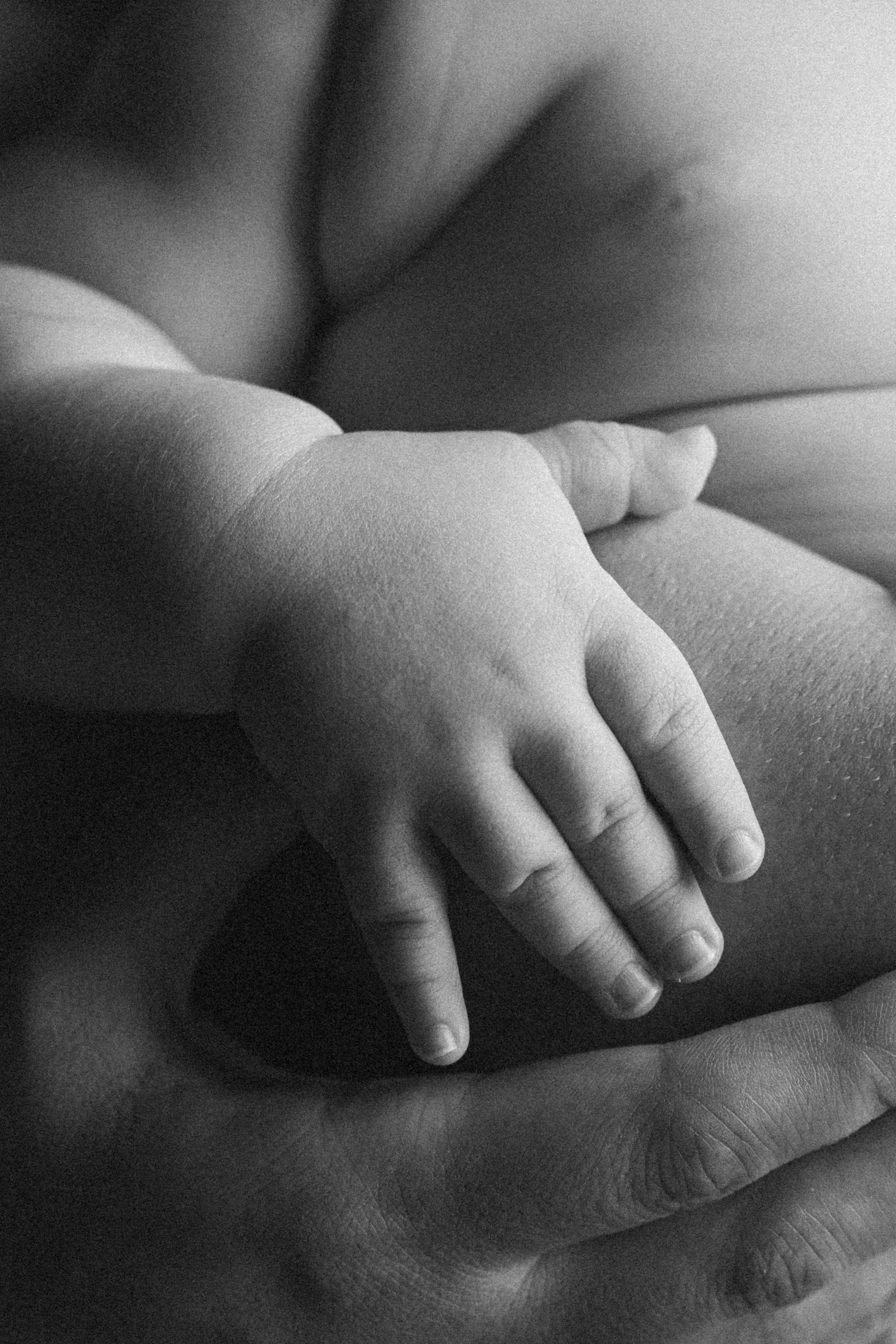 Фотограф в Нижнем Новгороде Лена Катина