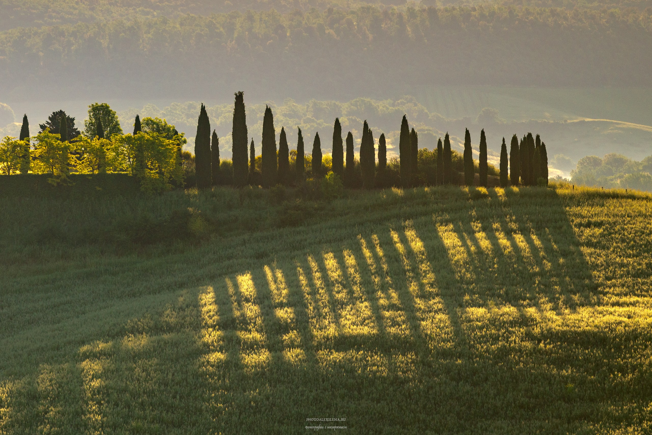 Долина Крете Сенези (Crete Senesi). Авторские стильные фотокартины