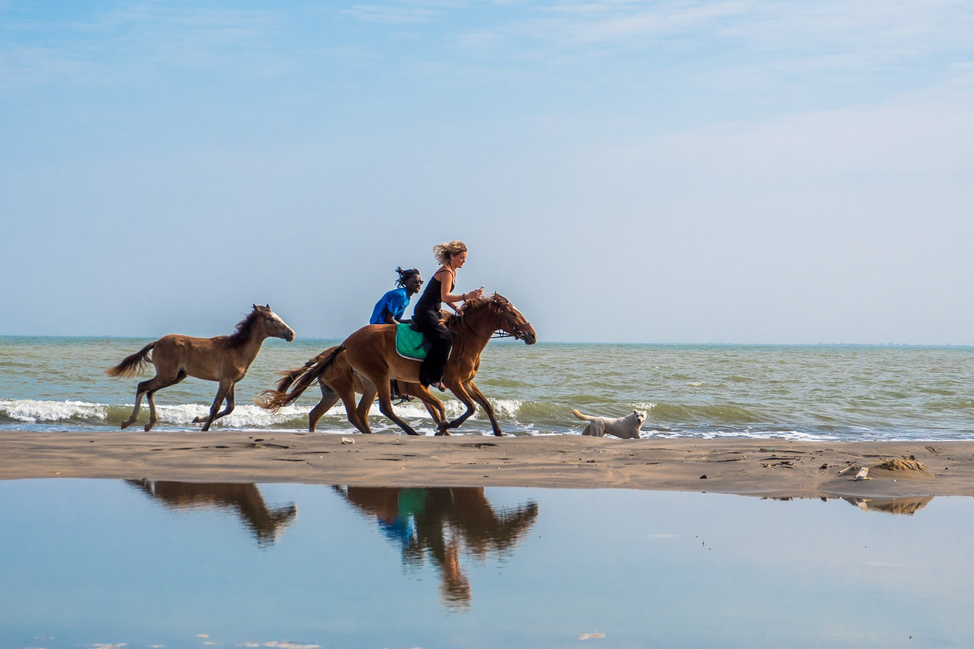 Путешествие по Гамбии (Западная Африка).Traveling in Gambia (West Africa.). Фотограф Алексей Скоробогатько