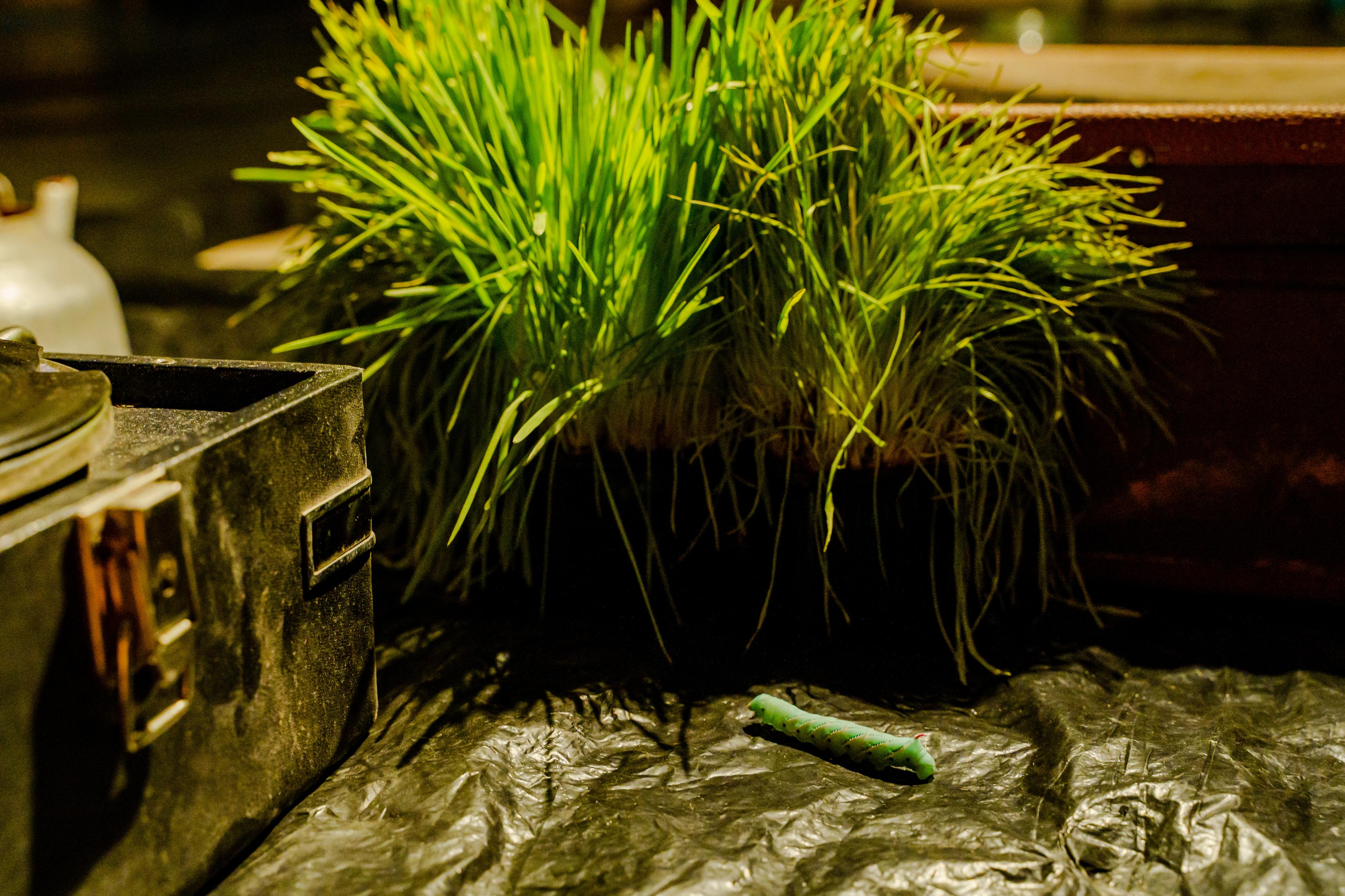 «Старухи» — спектакль-променад по мотивам произведений Д. Хармса. Фотограф Анастасия Арланцева