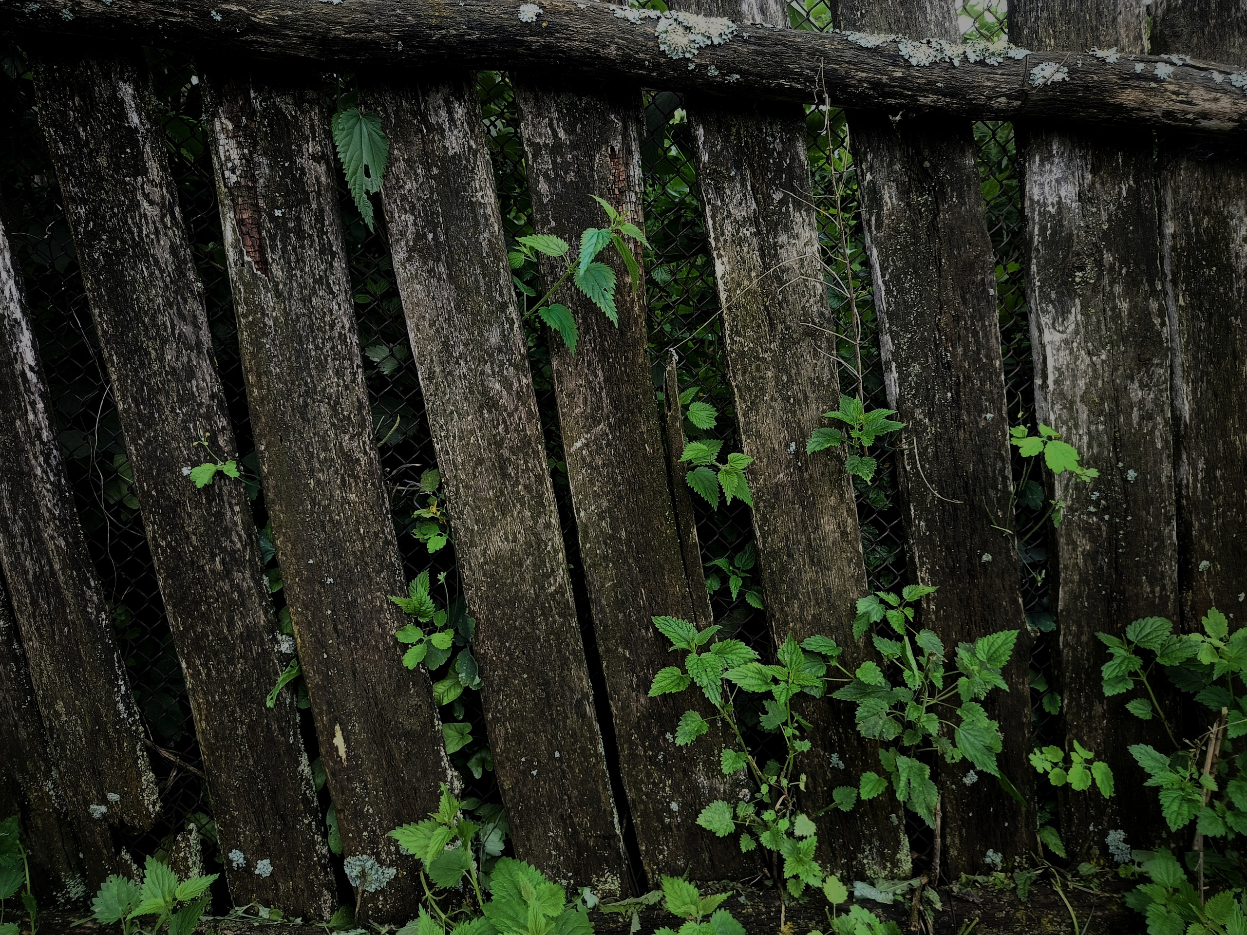 Исчезающие. Фотограф в Самаре Варвара Макарова