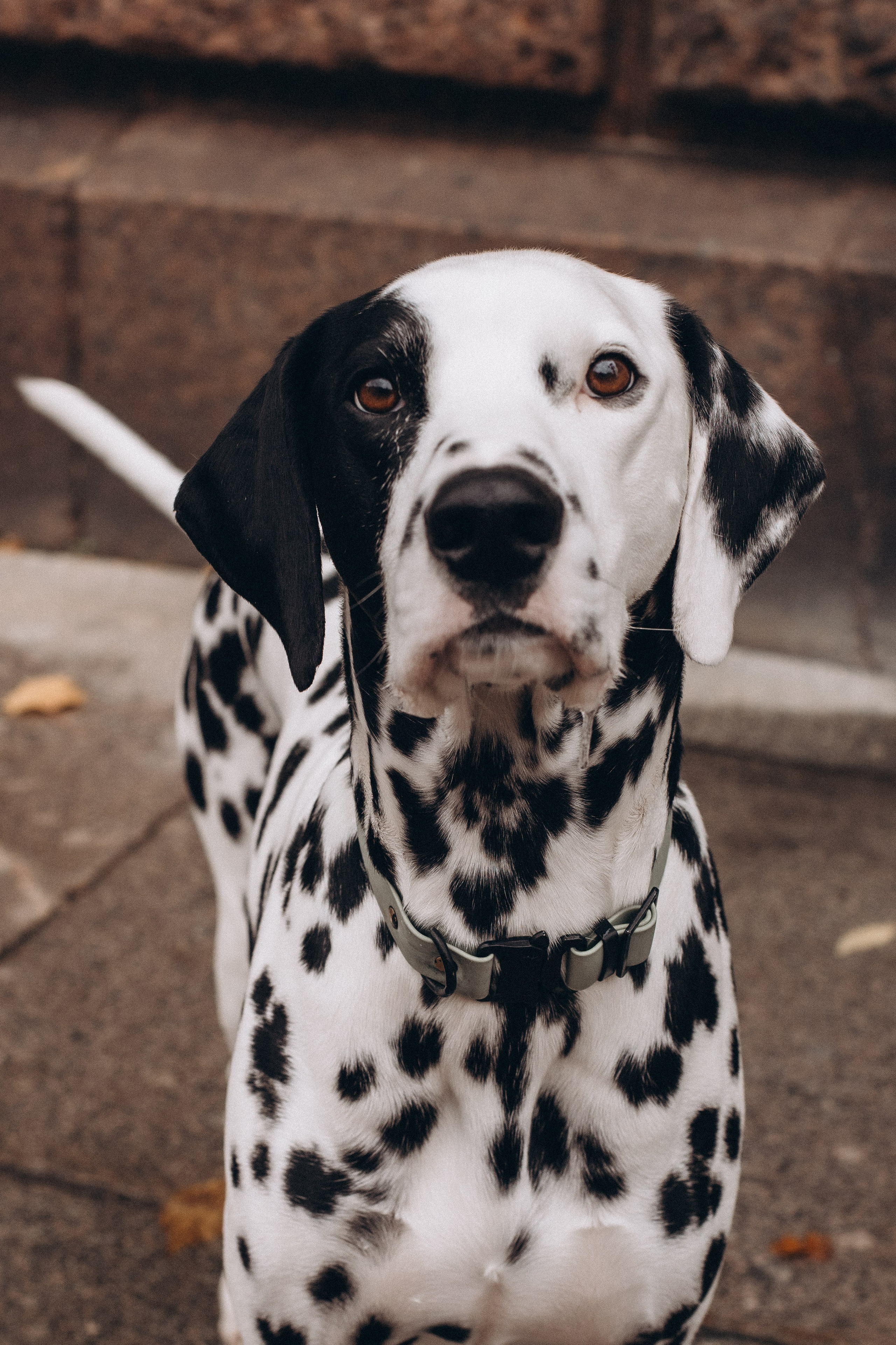 Таня и Эскель